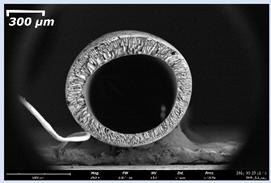 Membranes 11 00396 i001
