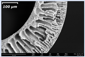 Membranes 11 00396 i004