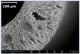 Membranes 11 00396 i008