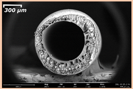 Membranes 11 00396 i009