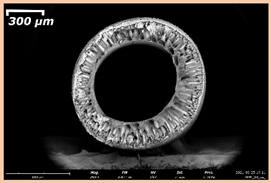 Membranes 11 00396 i011