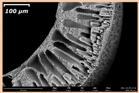 Membranes 11 00396 i012