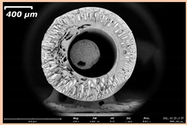 Membranes 11 00396 i015