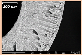 Membranes 11 00396 i016