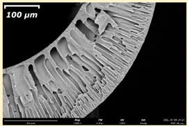 Membranes 11 00396 i018