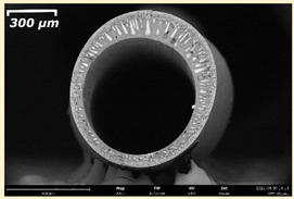 Membranes 11 00396 i019