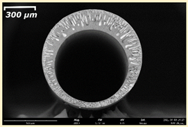 Membranes 11 00396 i021