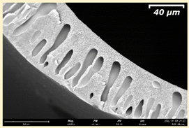 Membranes 11 00396 i022