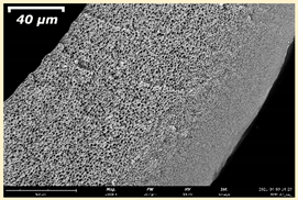 Membranes 11 00396 i024