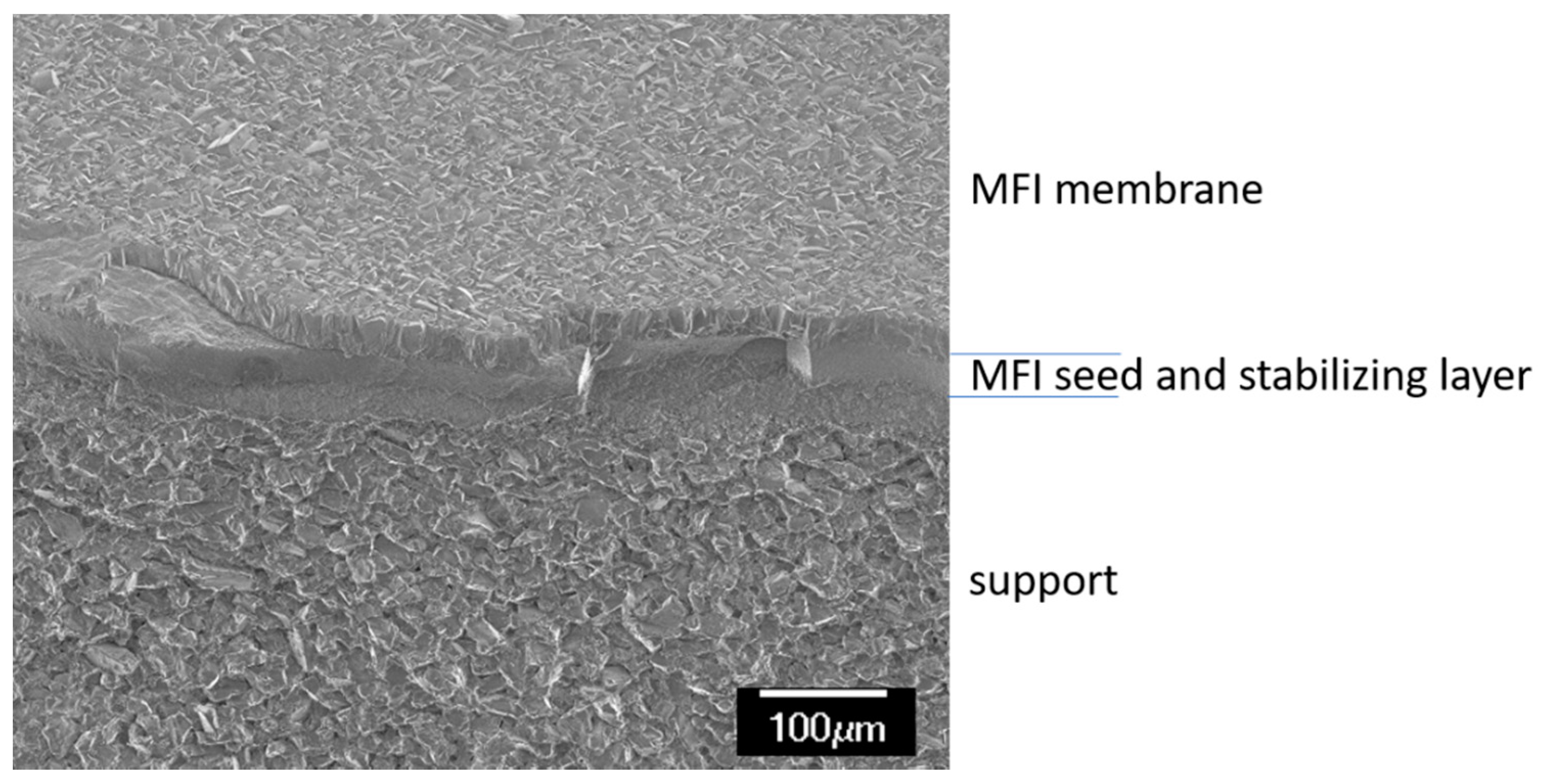Membranes 11 00439 g002