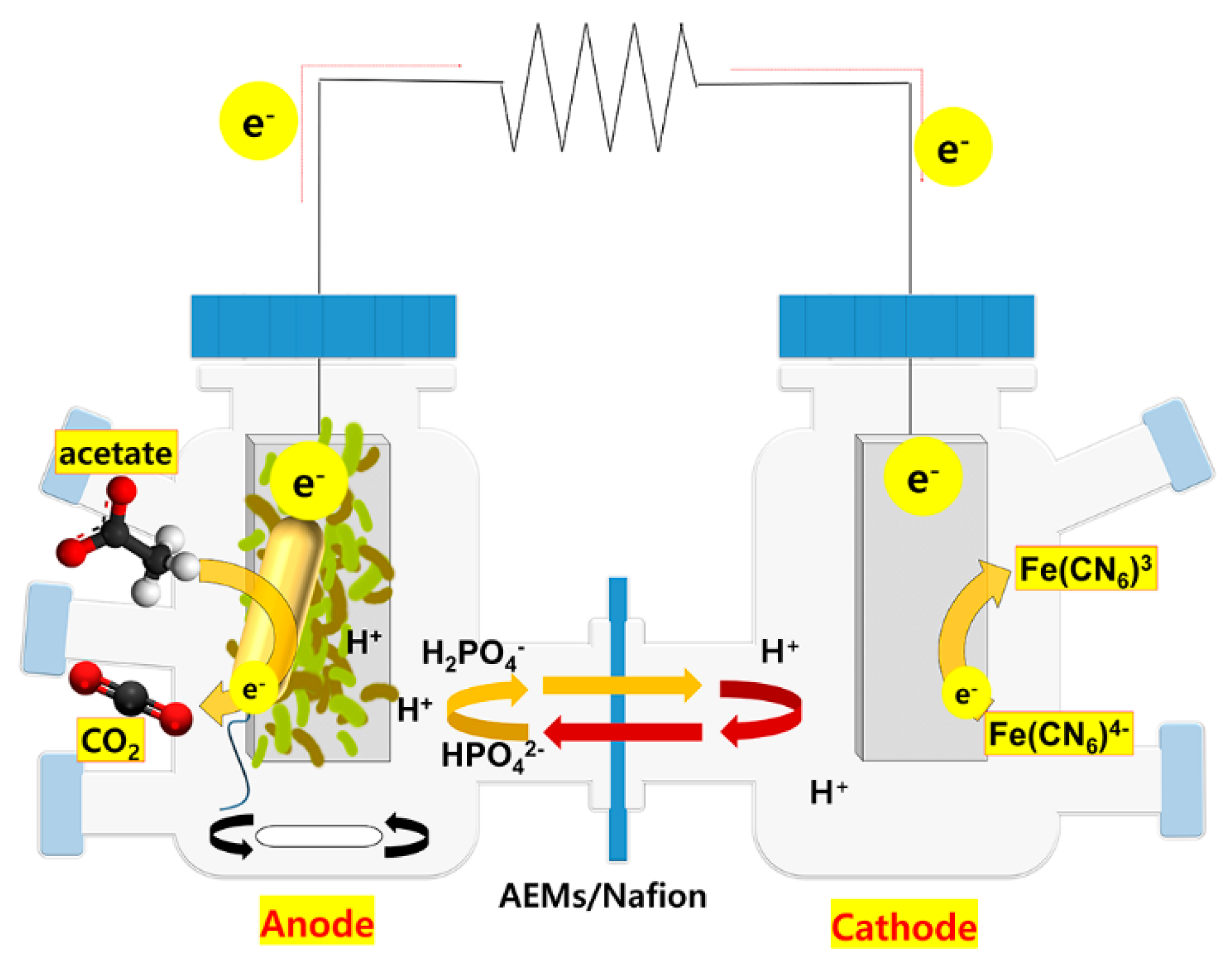 Membranes 11 00454 g001