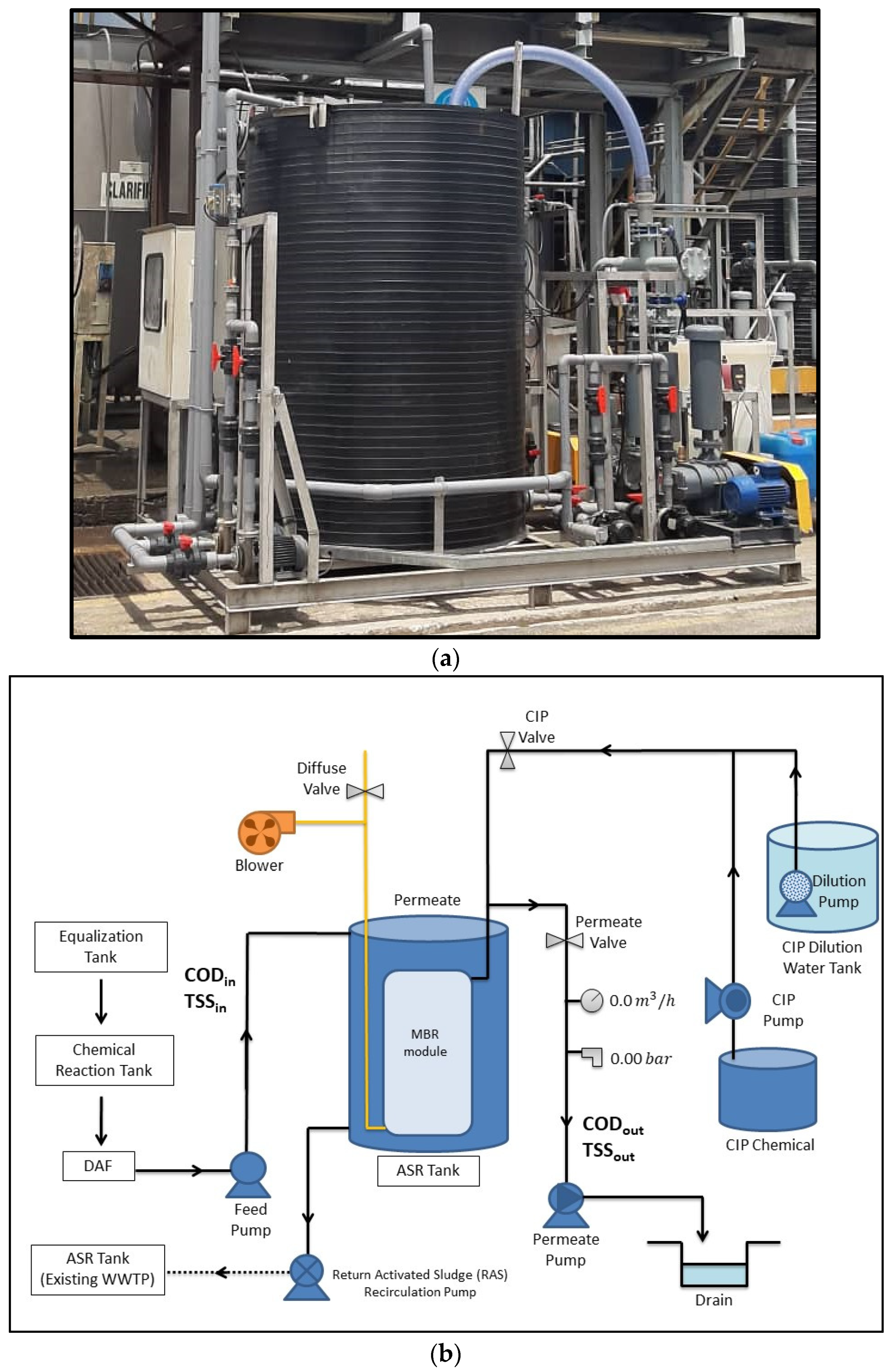 Membranes Free Full Text Treatment Of Wastewater From A Food And Beverage Industry Using Conventional Wastewater Treatment Integrated With Membrane Bioreactor System A Pilot Scale Case Study Html