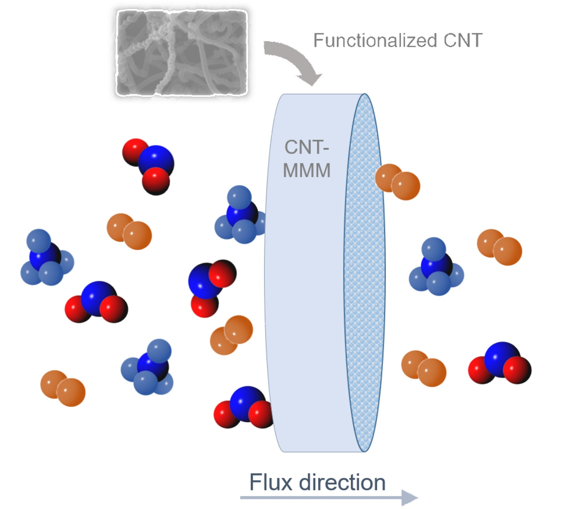 Membranes Free Full Text Review Mixed Matrix Membranes With Cnt For Co2 Separation Processes 7695