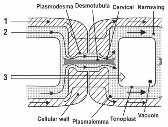 Membranes, Free Full-Text