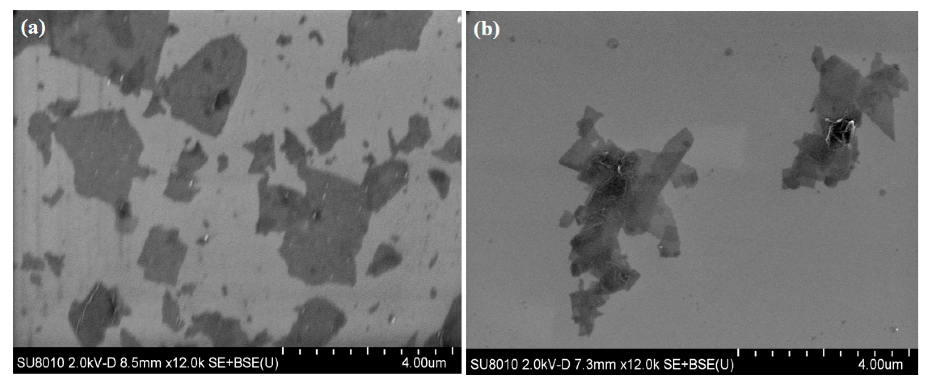Membranes 11 00488 g003a