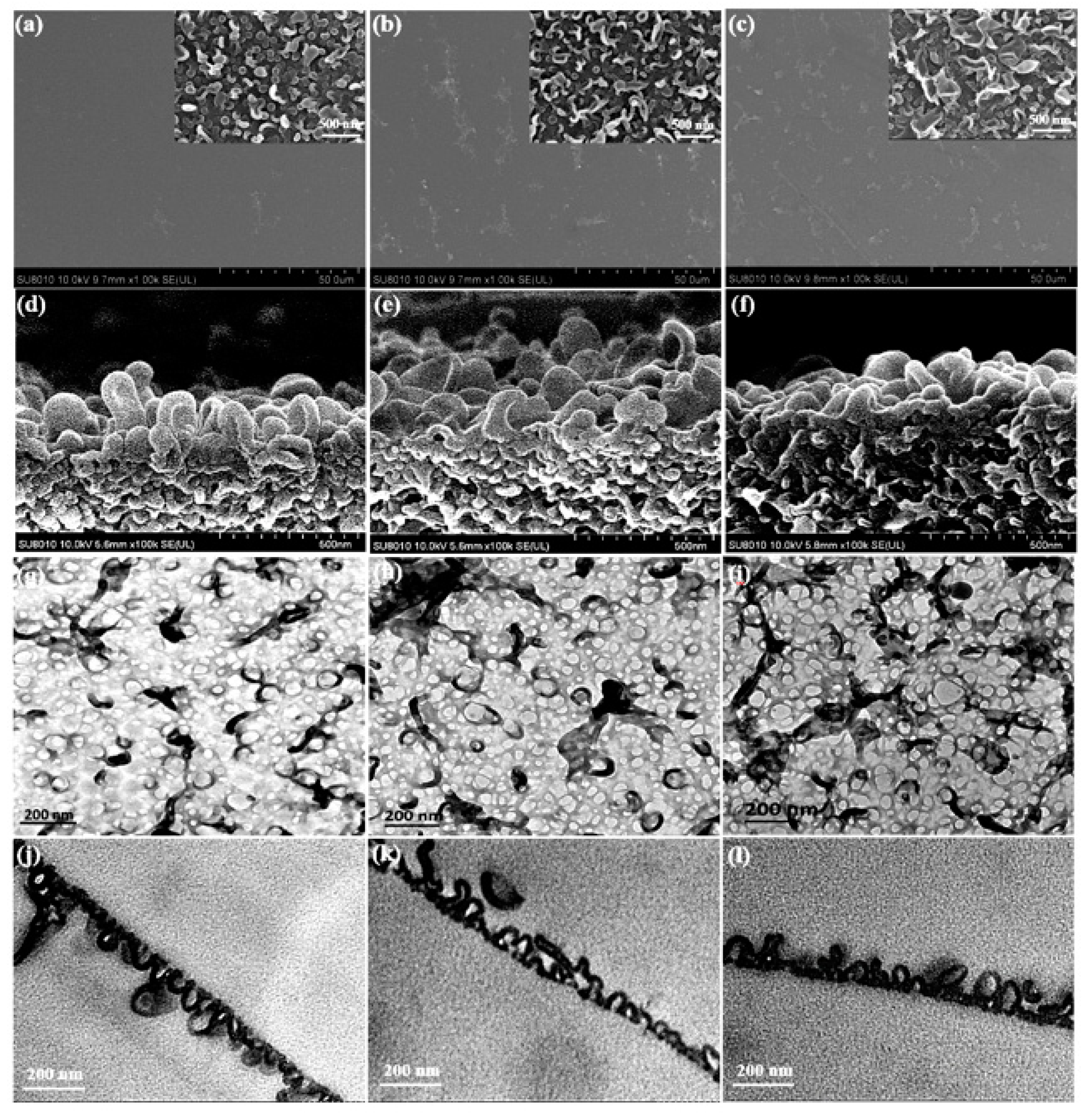 Membranes 11 00488 g005