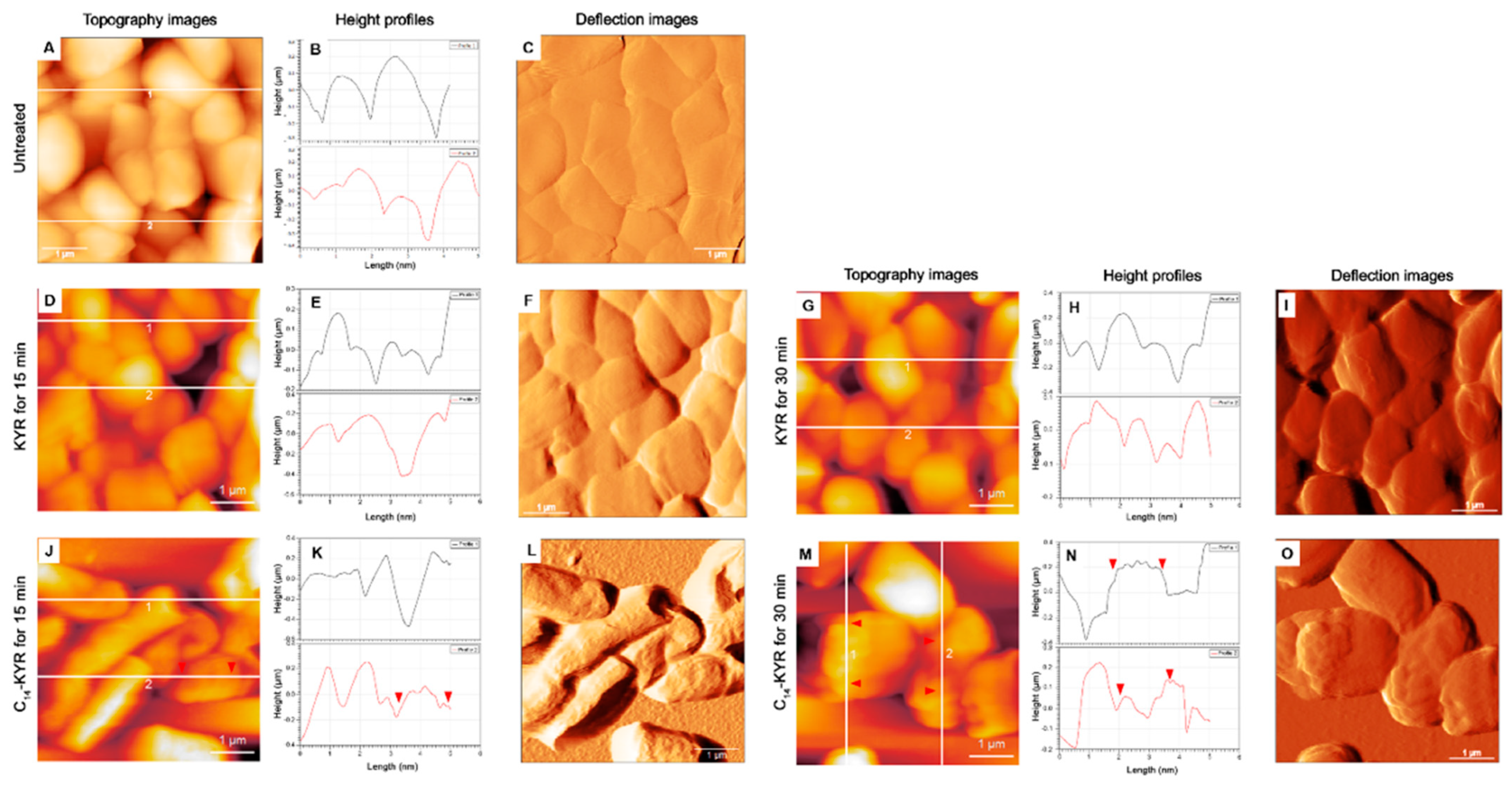Membranes 11 00495 g002