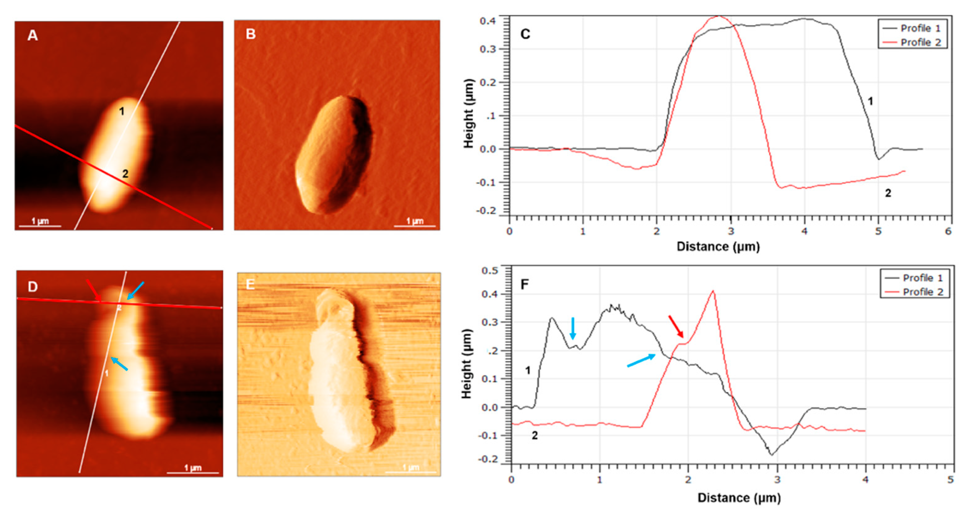 Membranes 11 00495 g004