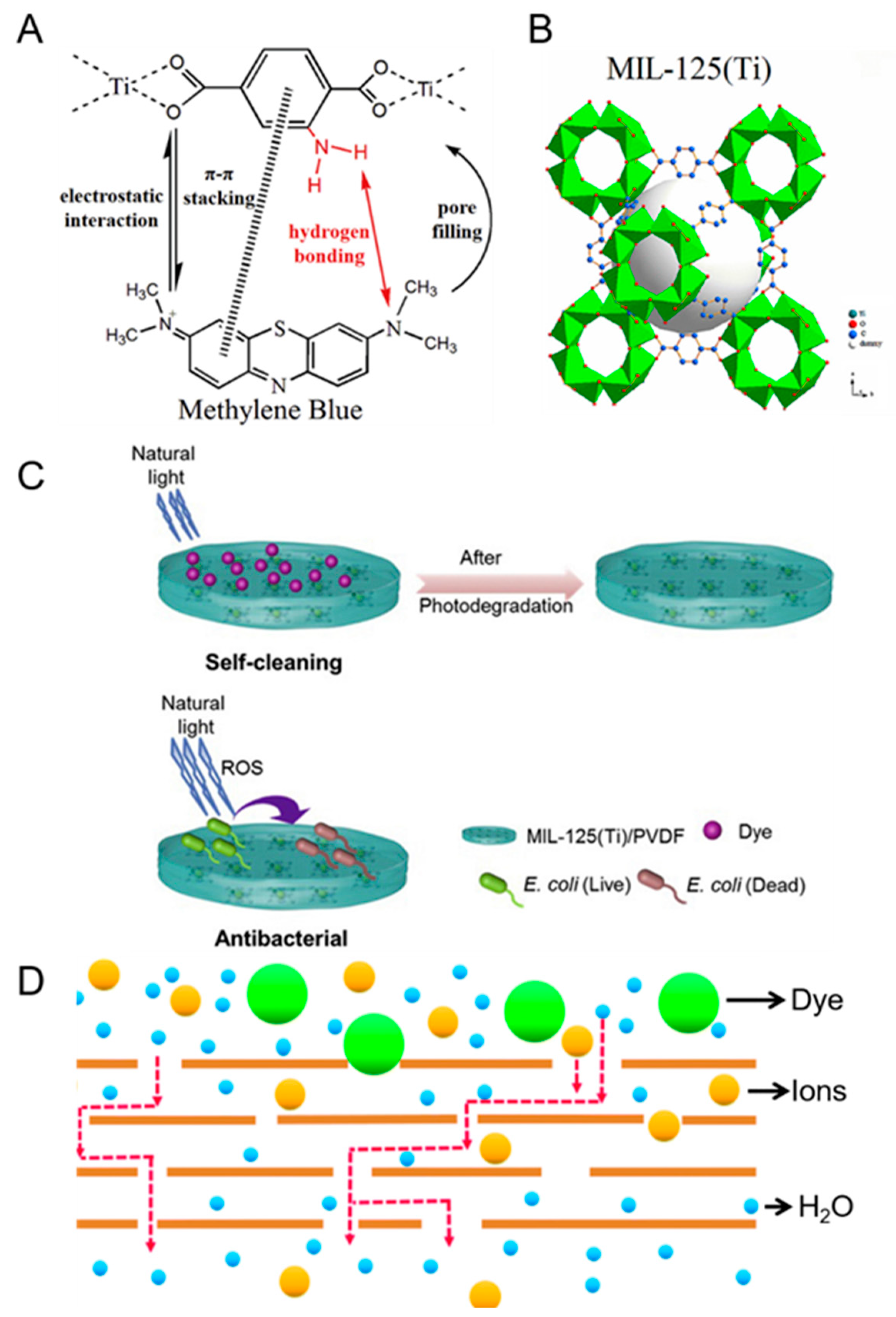 Membranes 11 00508 g004