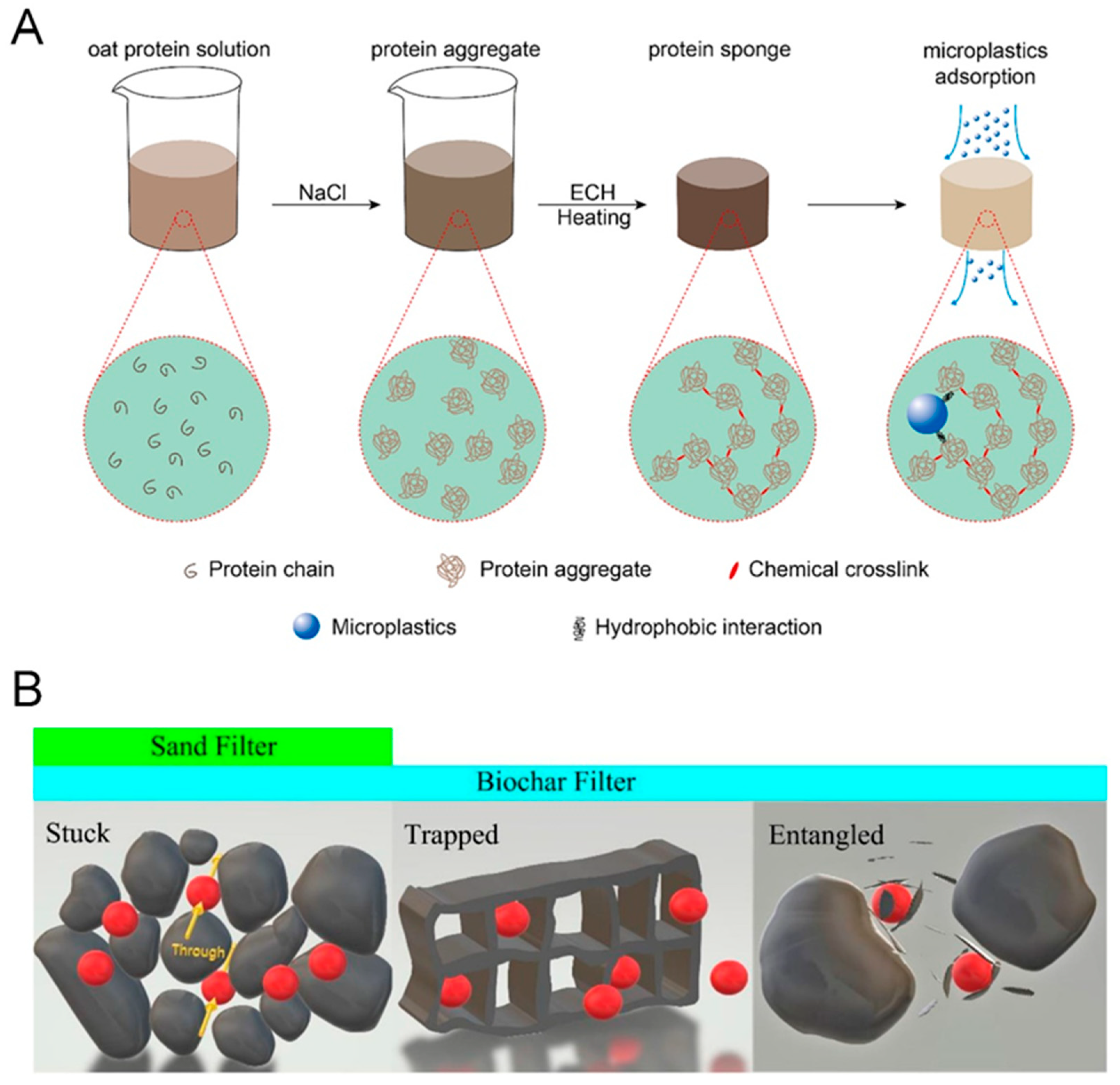 Membranes 11 00508 g008