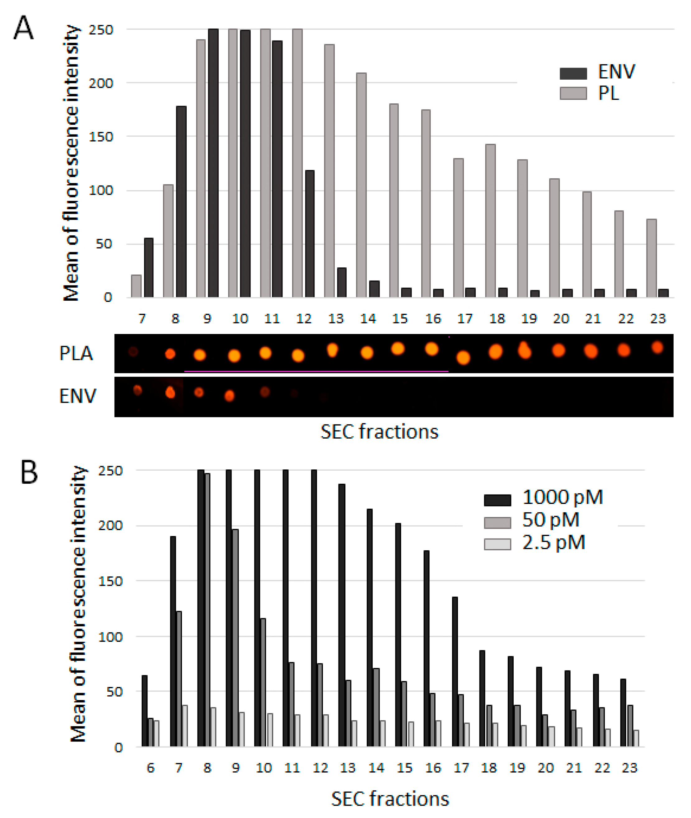 Membranes 11 00526 g003