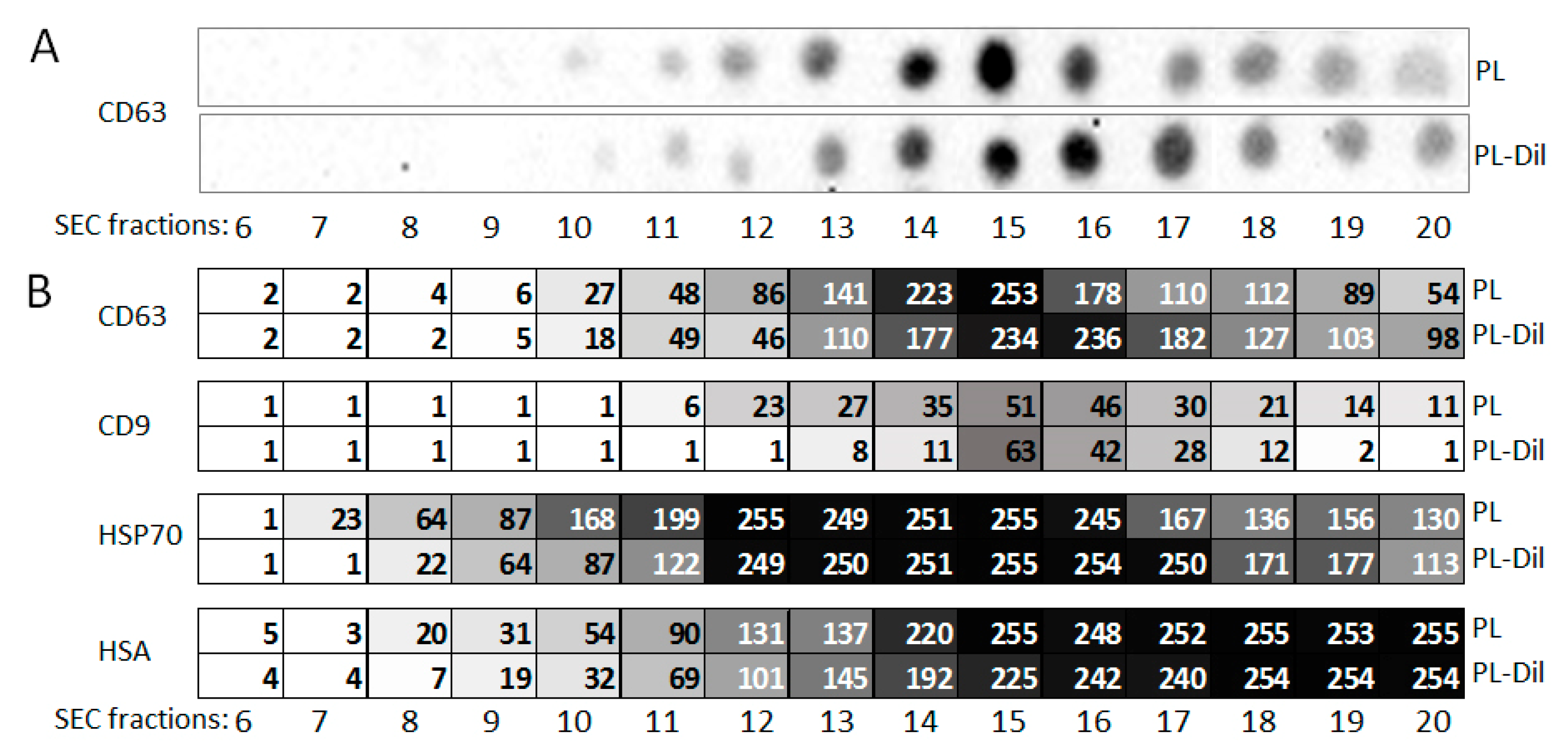 Membranes 11 00526 g006