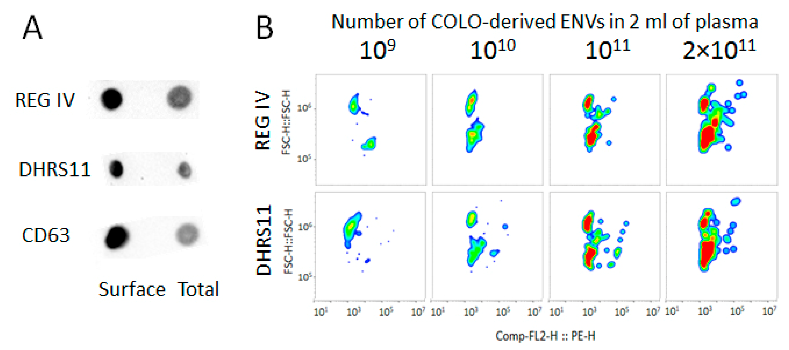 Membranes 11 00526 g008