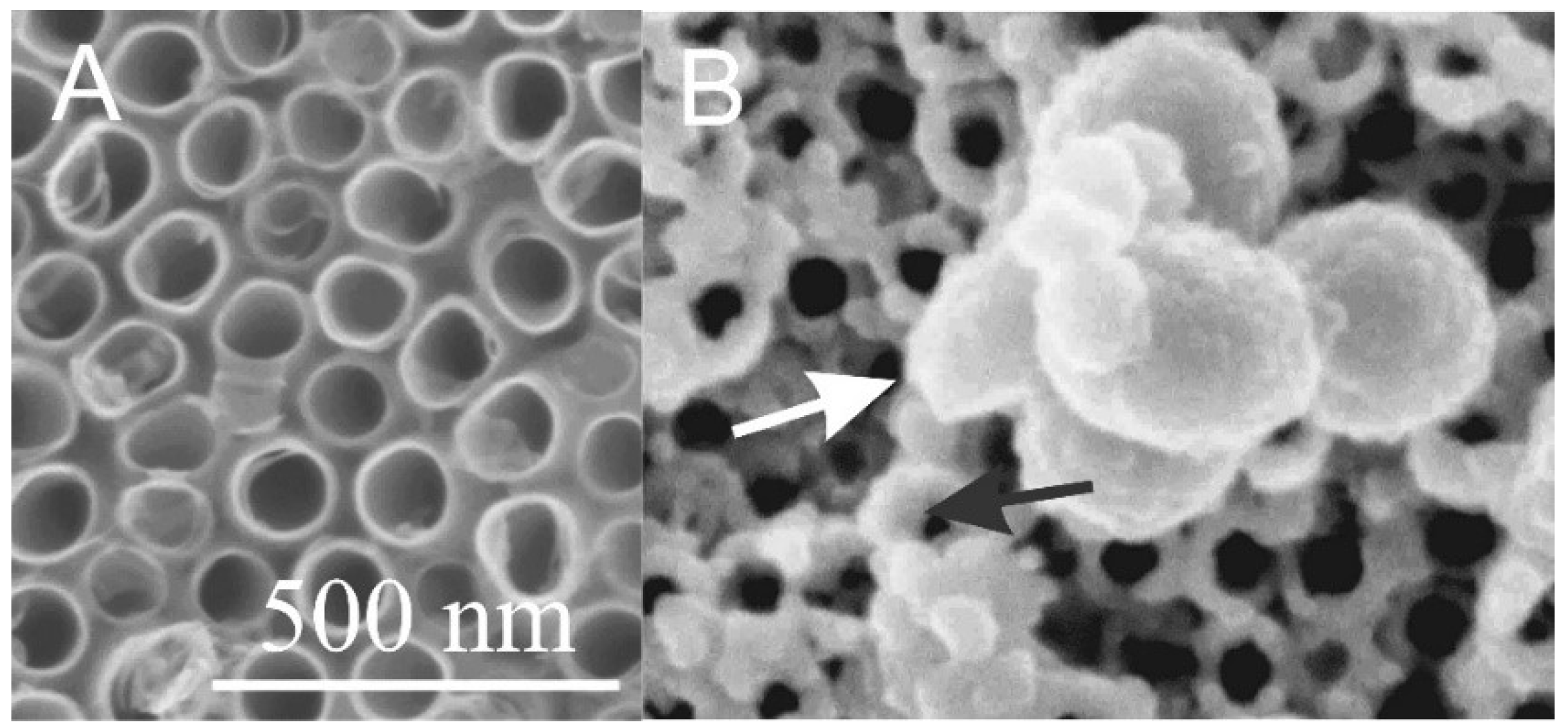 Membranes 11 00533 g004 Membranes 11 00533 g004