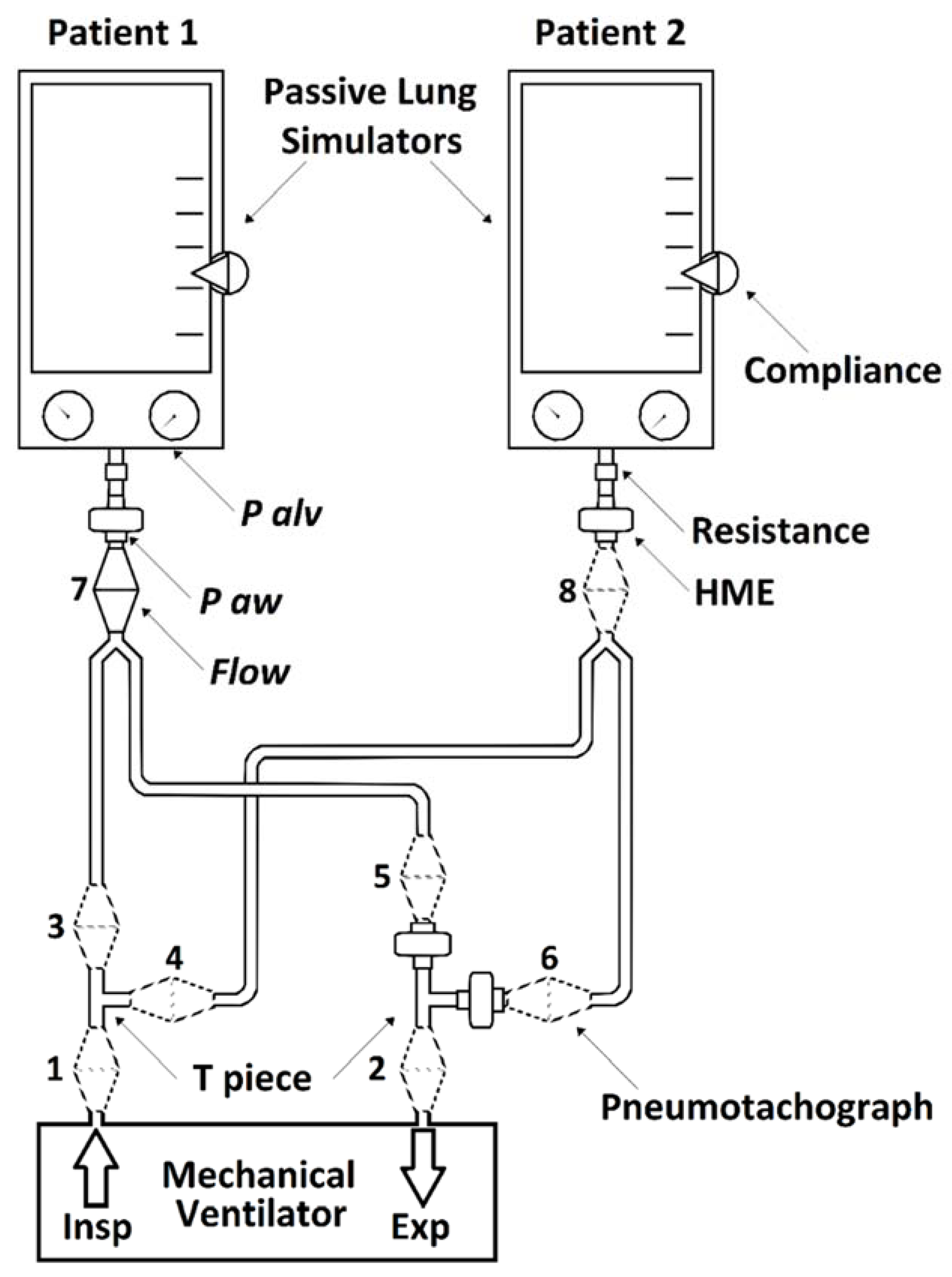 Membranes | Free Full-Text | Sharing Mechanical Ventilator: In Vitro  Evaluation of Circuit Cross-Flows and Patient Interactions