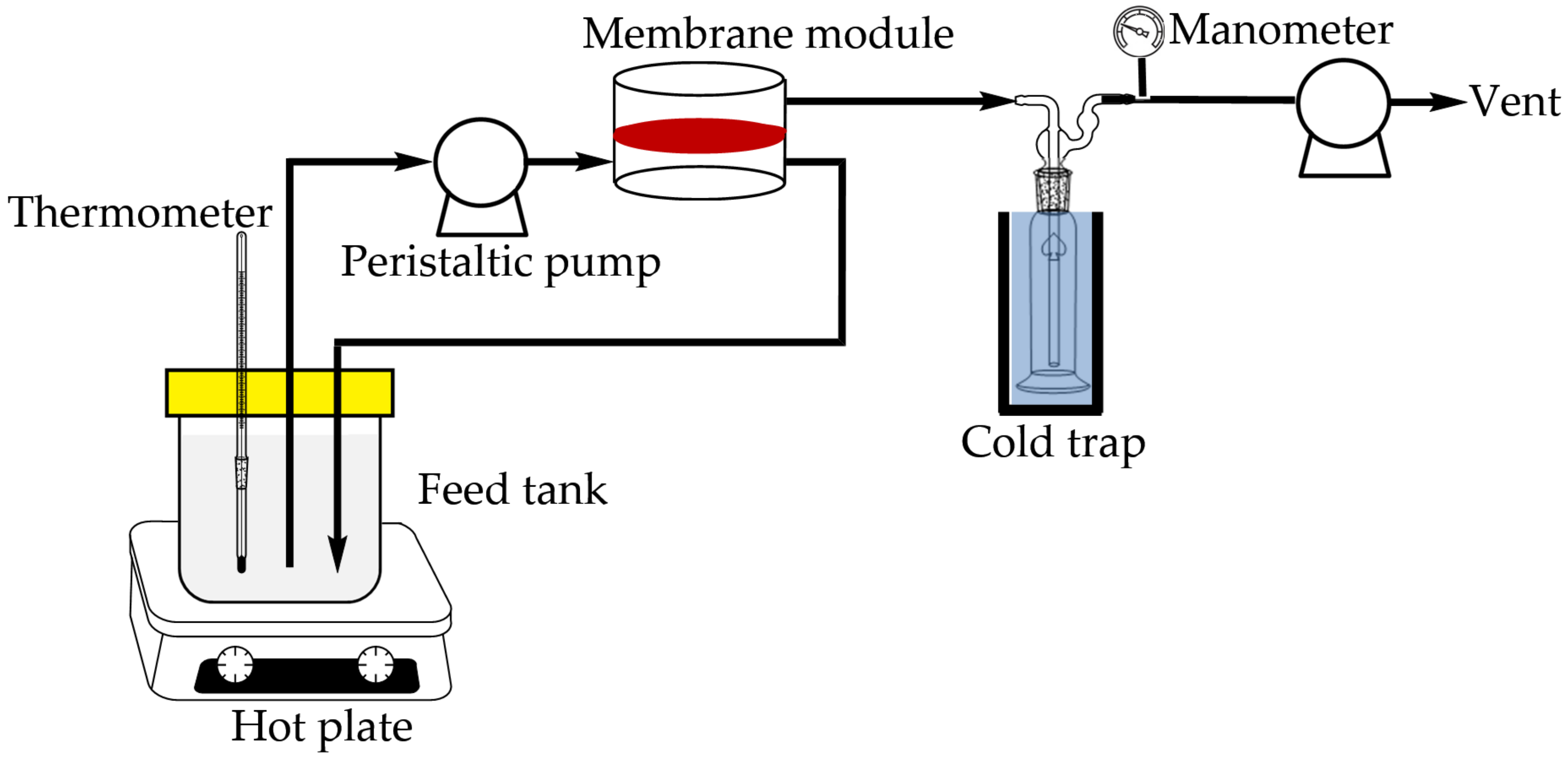Membranes 11 00564 g002