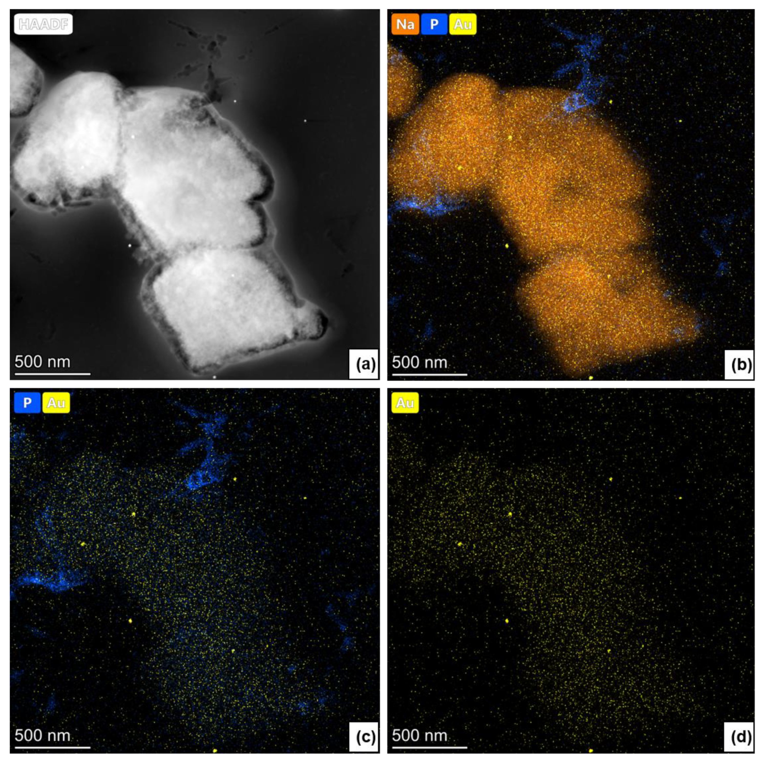 Membranes 11 00565 g004