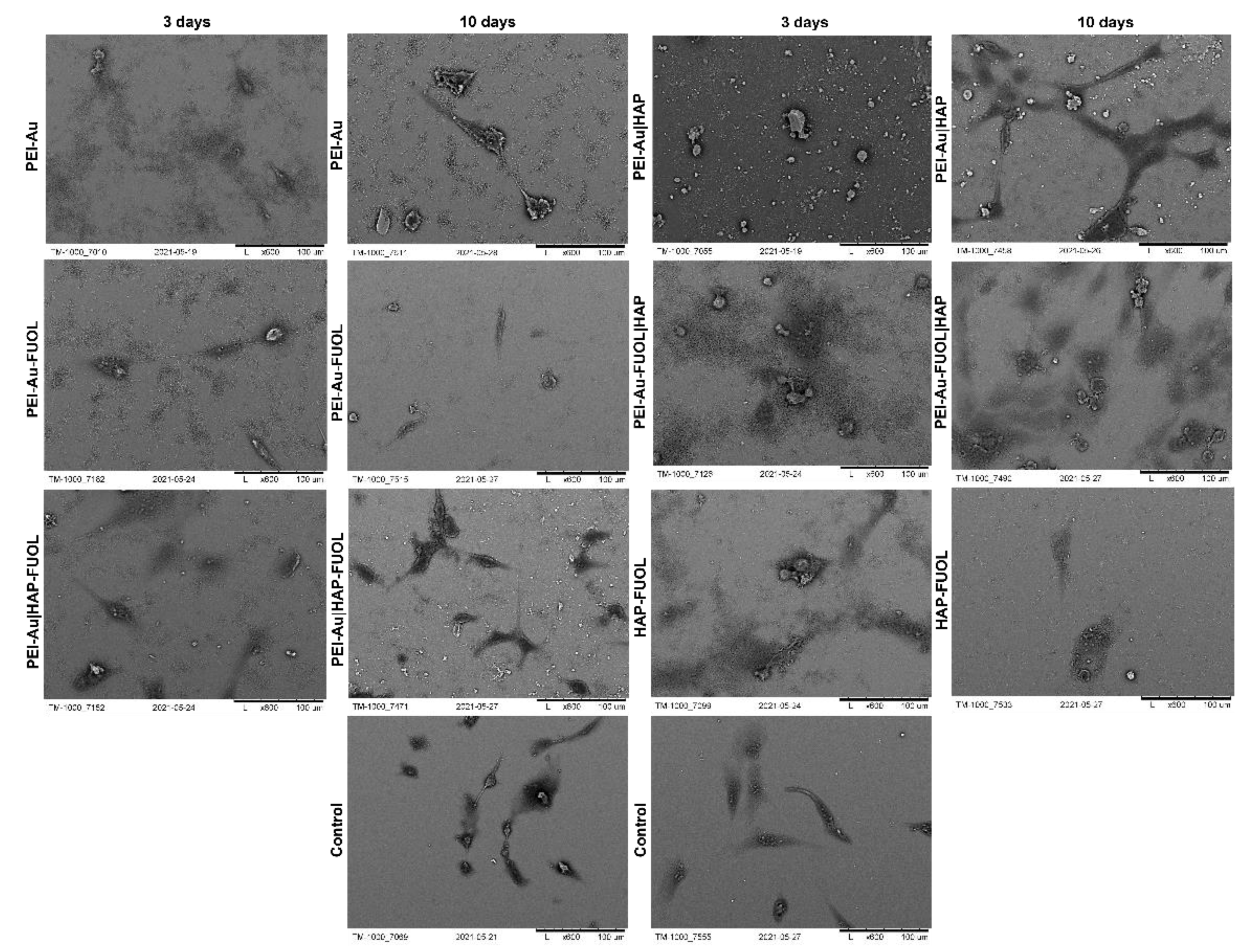 Membranes 11 00565 g006