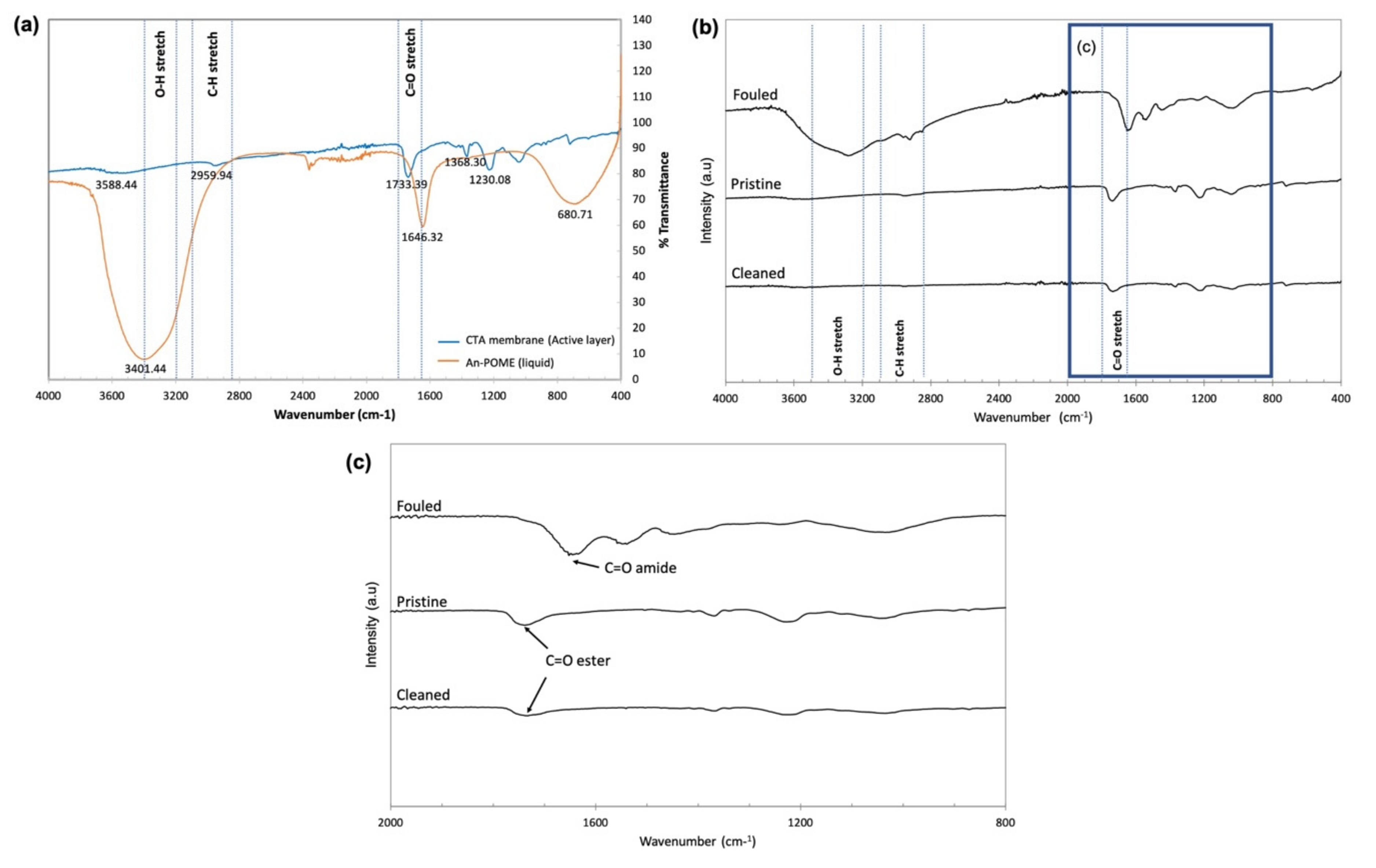 Membranes 11 00566 g015