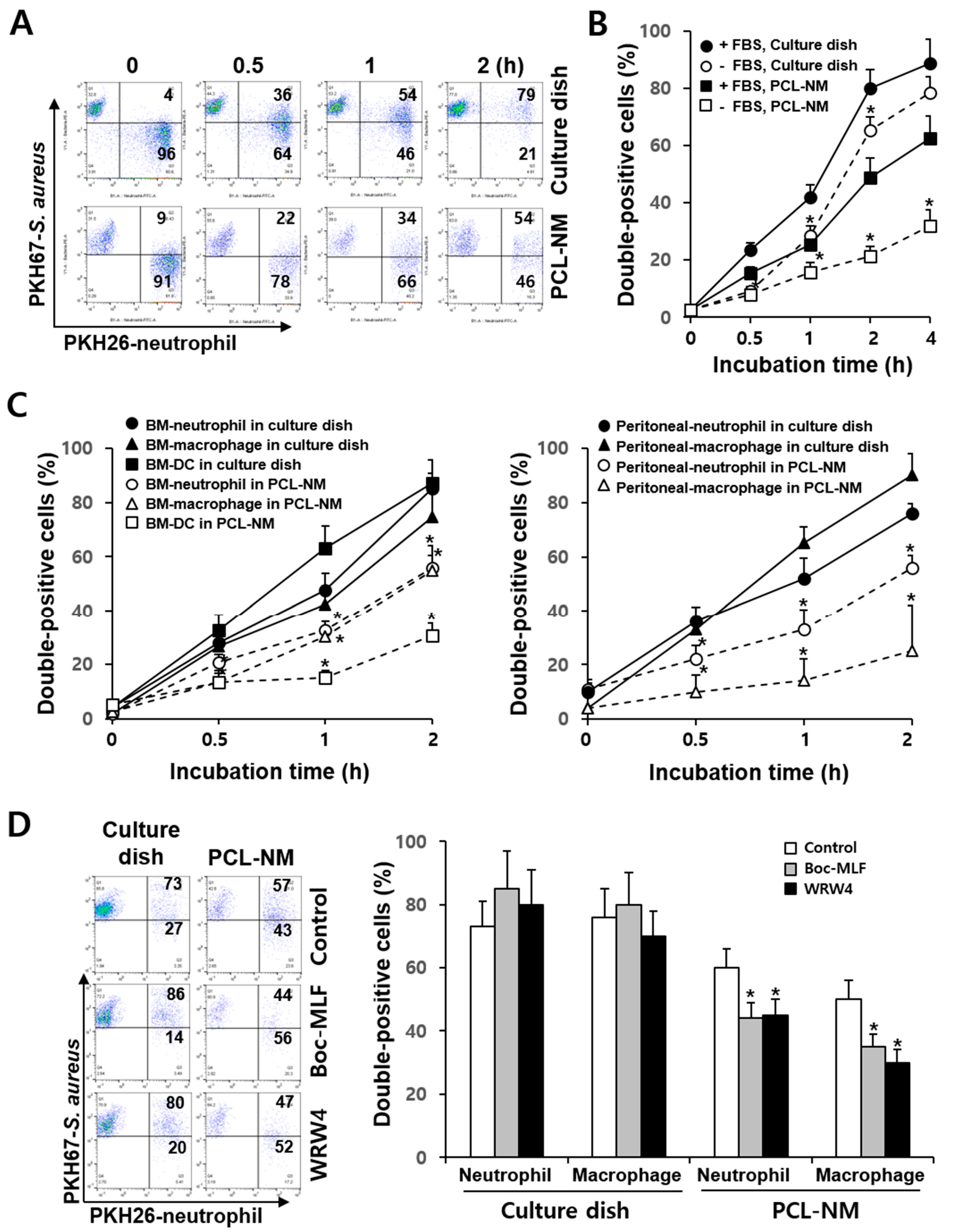 Membranes 11 00569 g003