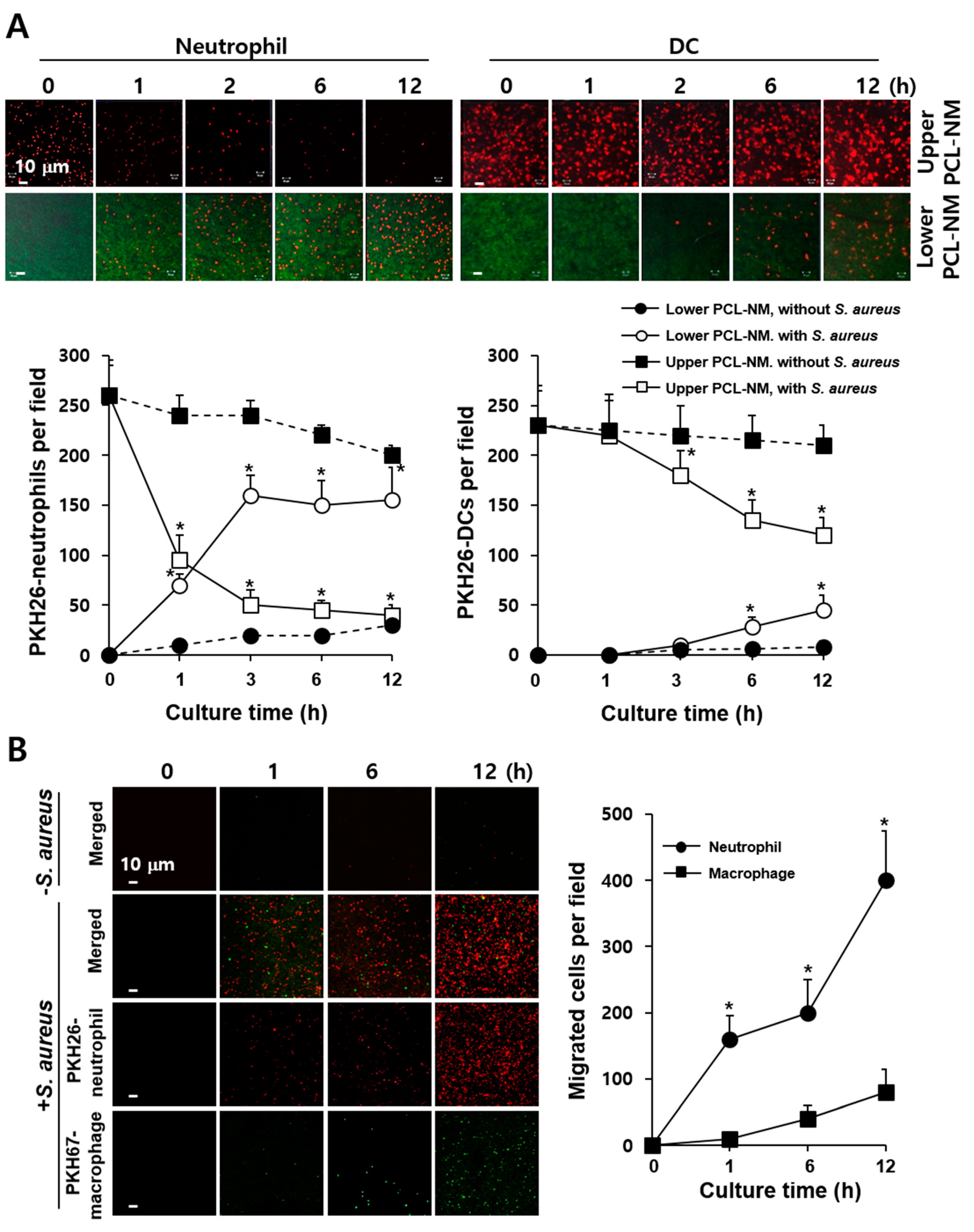 Membranes 11 00569 g004