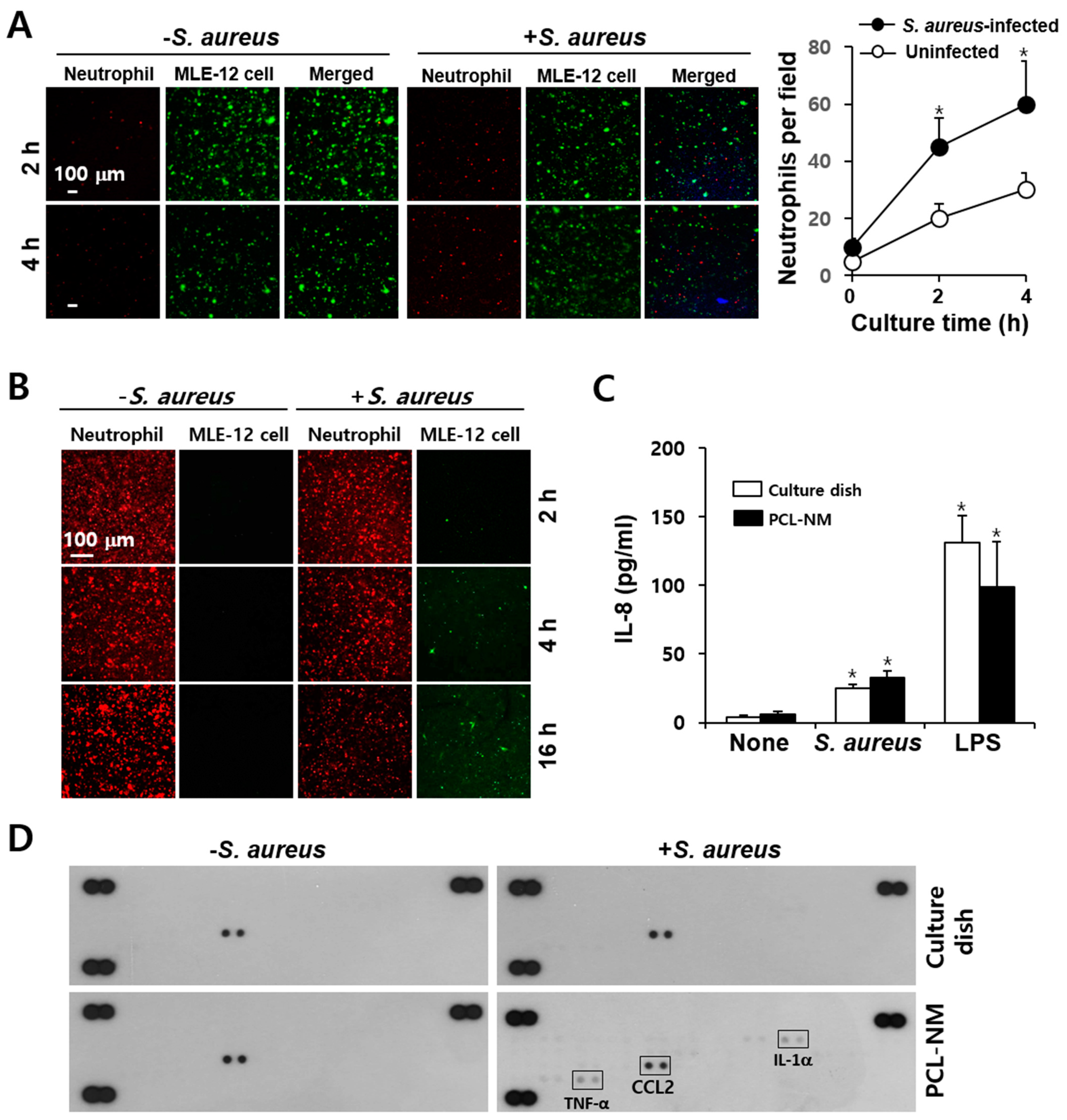 Membranes 11 00569 g007