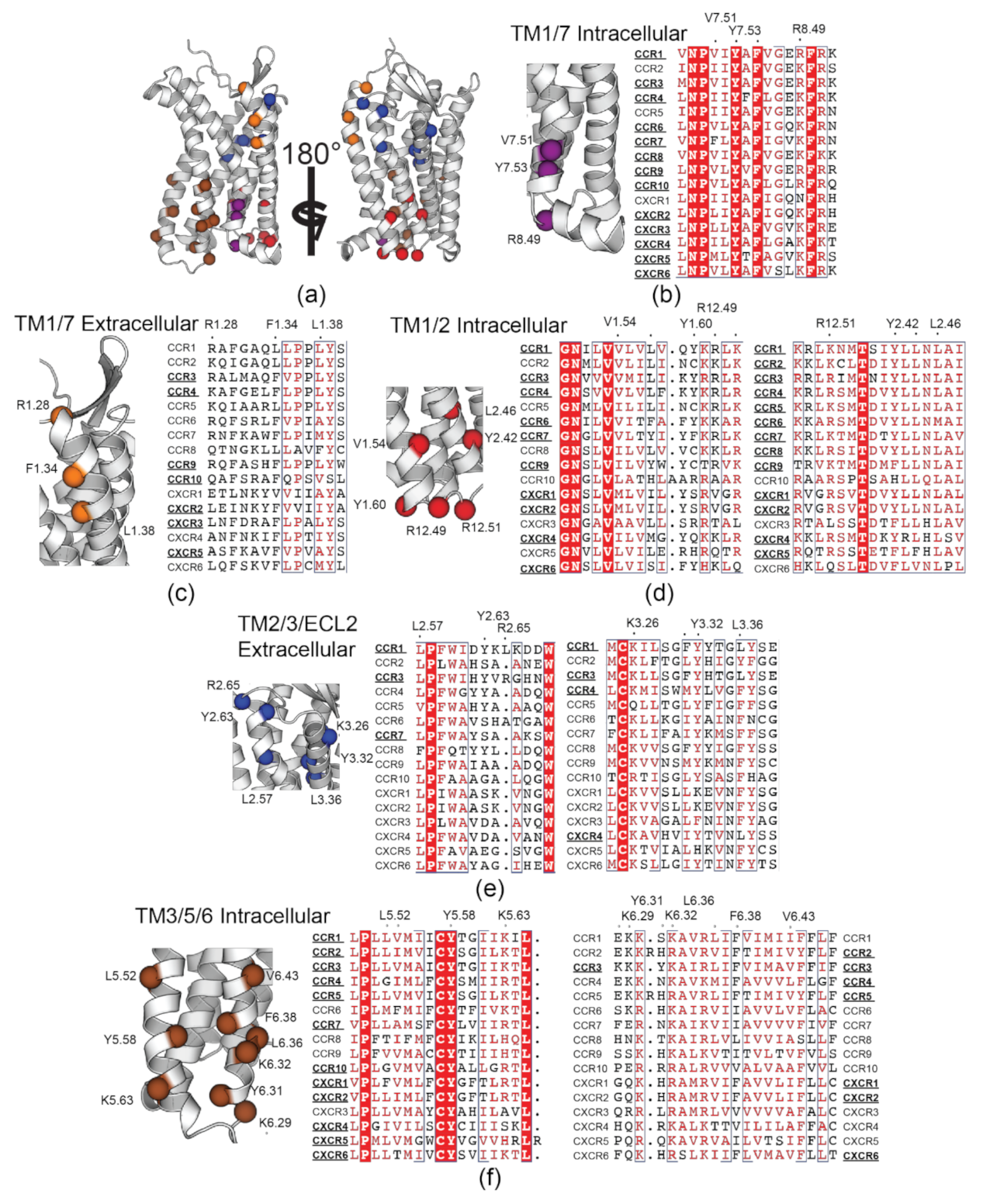 Membranes 11 00570 g006