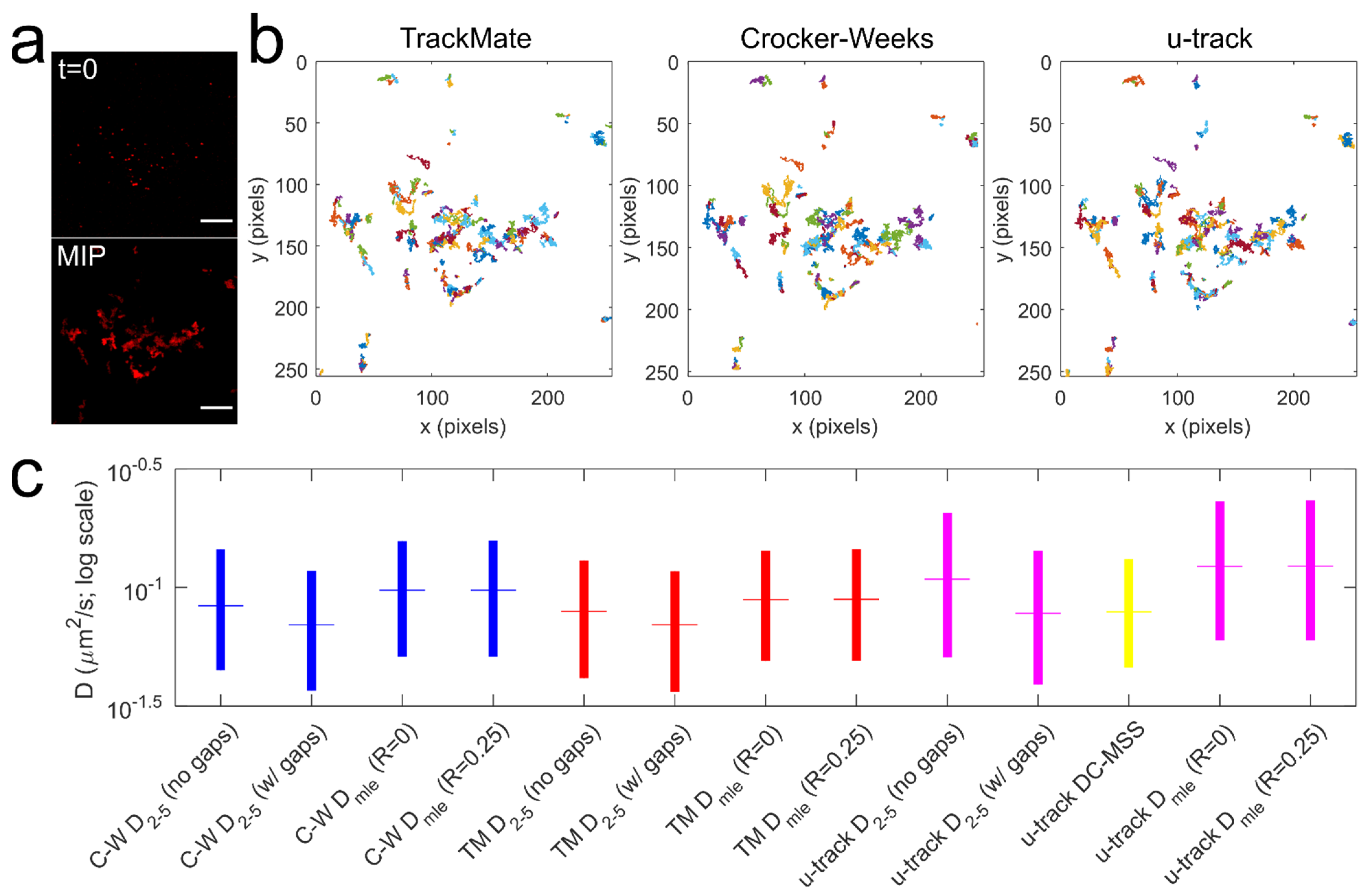 Membranes 11 00578 g002