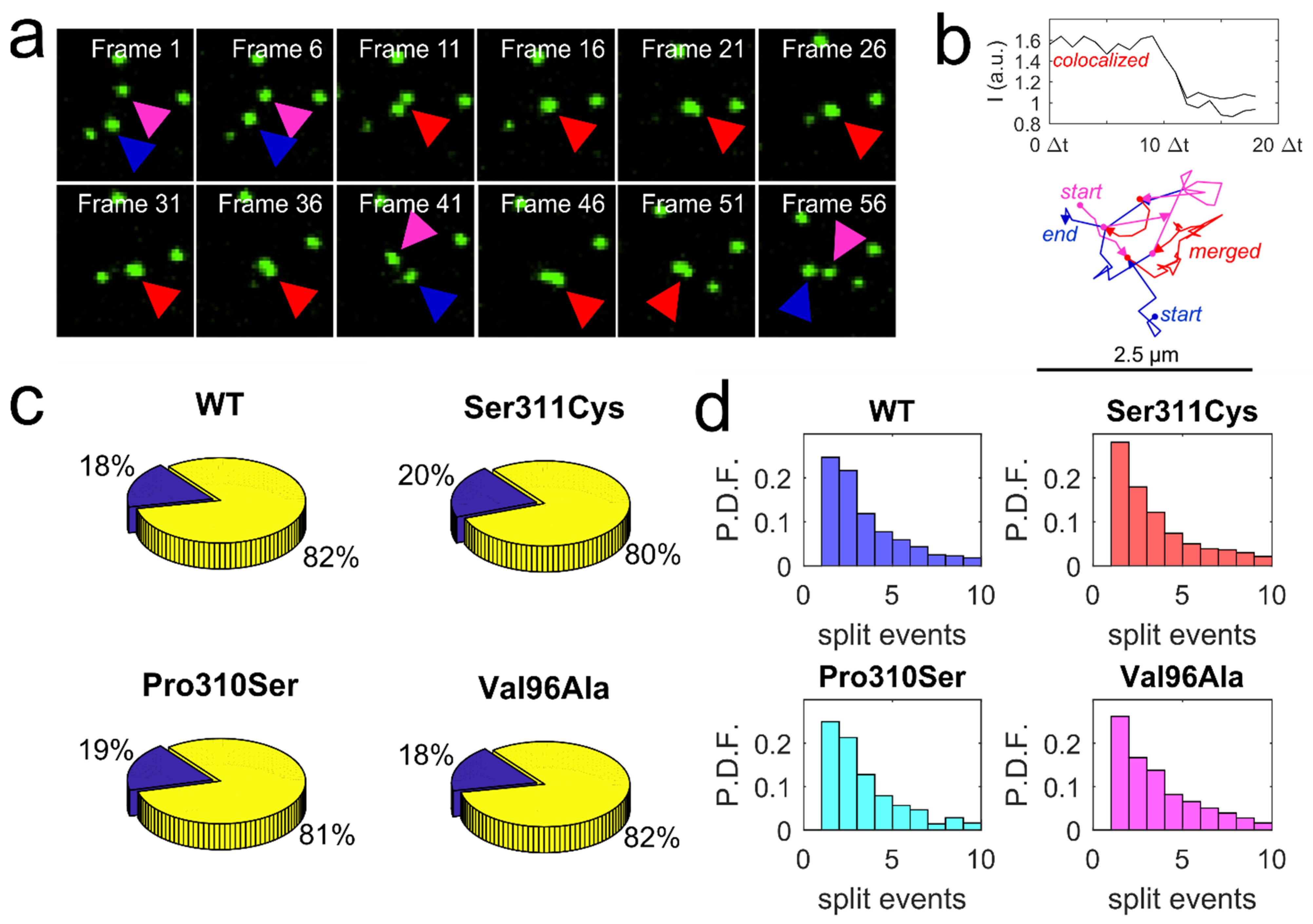 Membranes 11 00578 g004