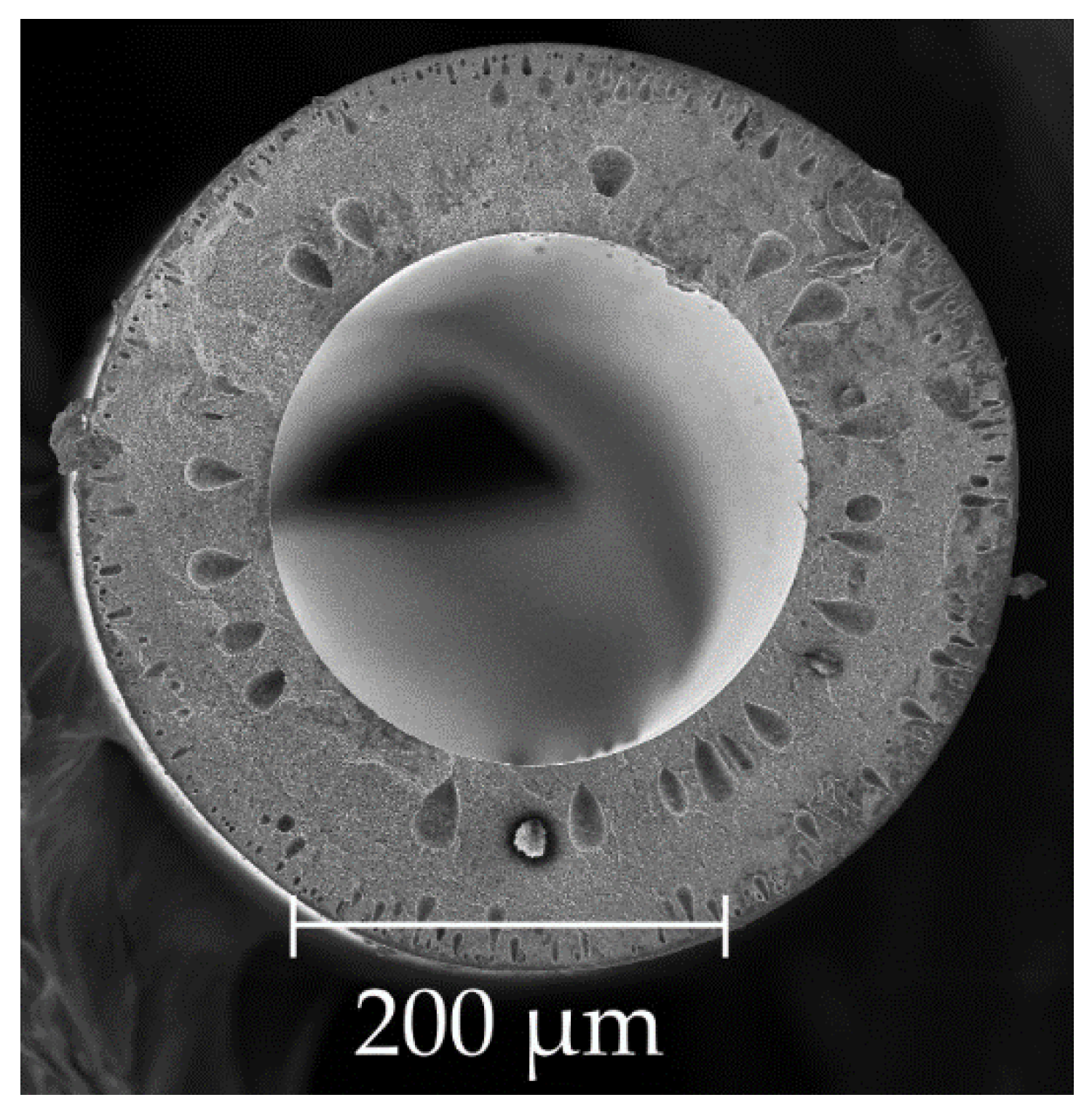 Membranes 11 00583 g001