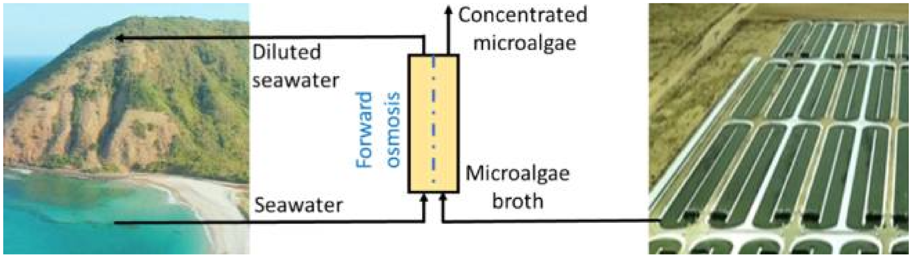 Membranes 11 00585 g005