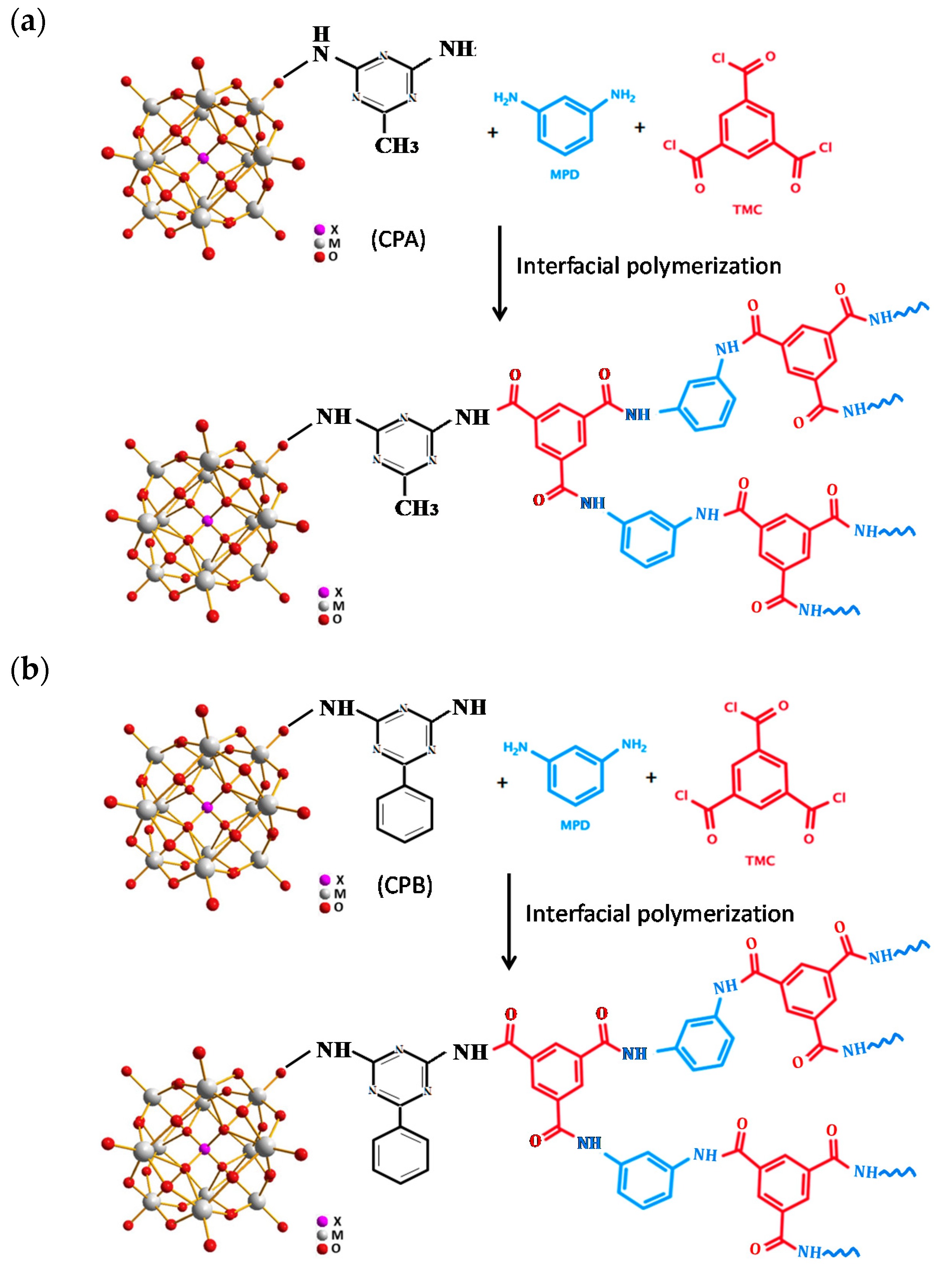 Membranes 11 00597 g010a