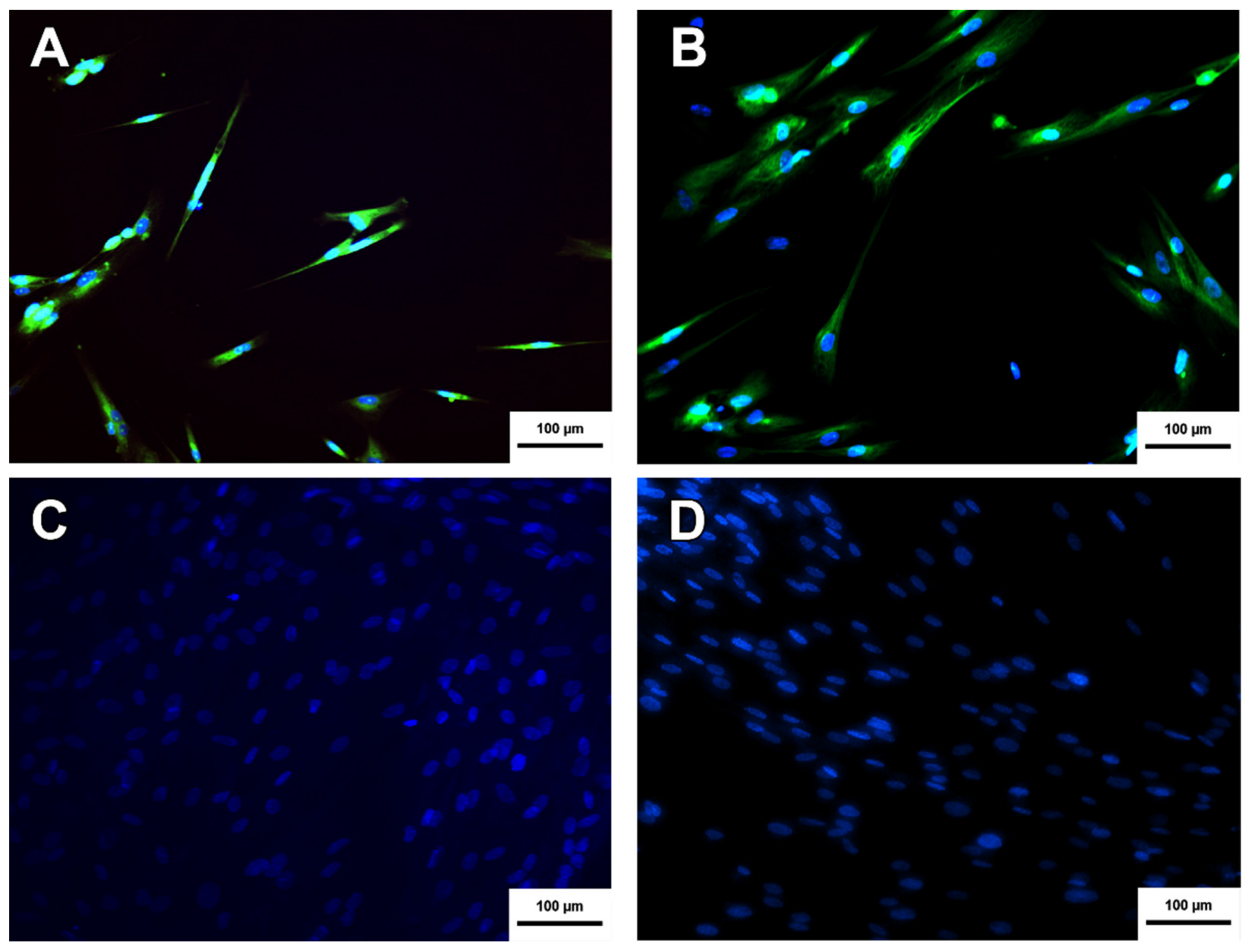 Membranes 11 00598 g008