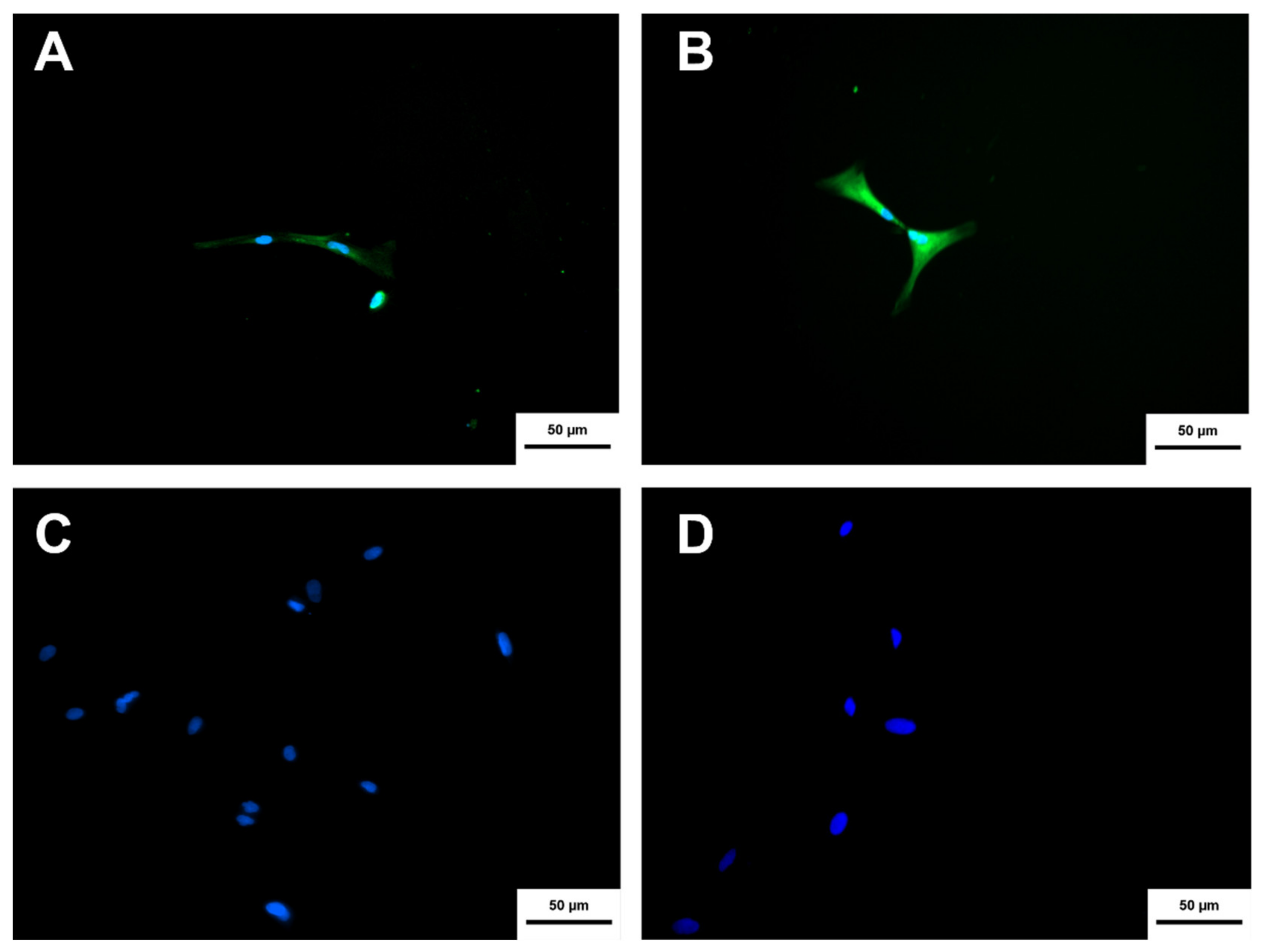 Membranes 11 00598 g009