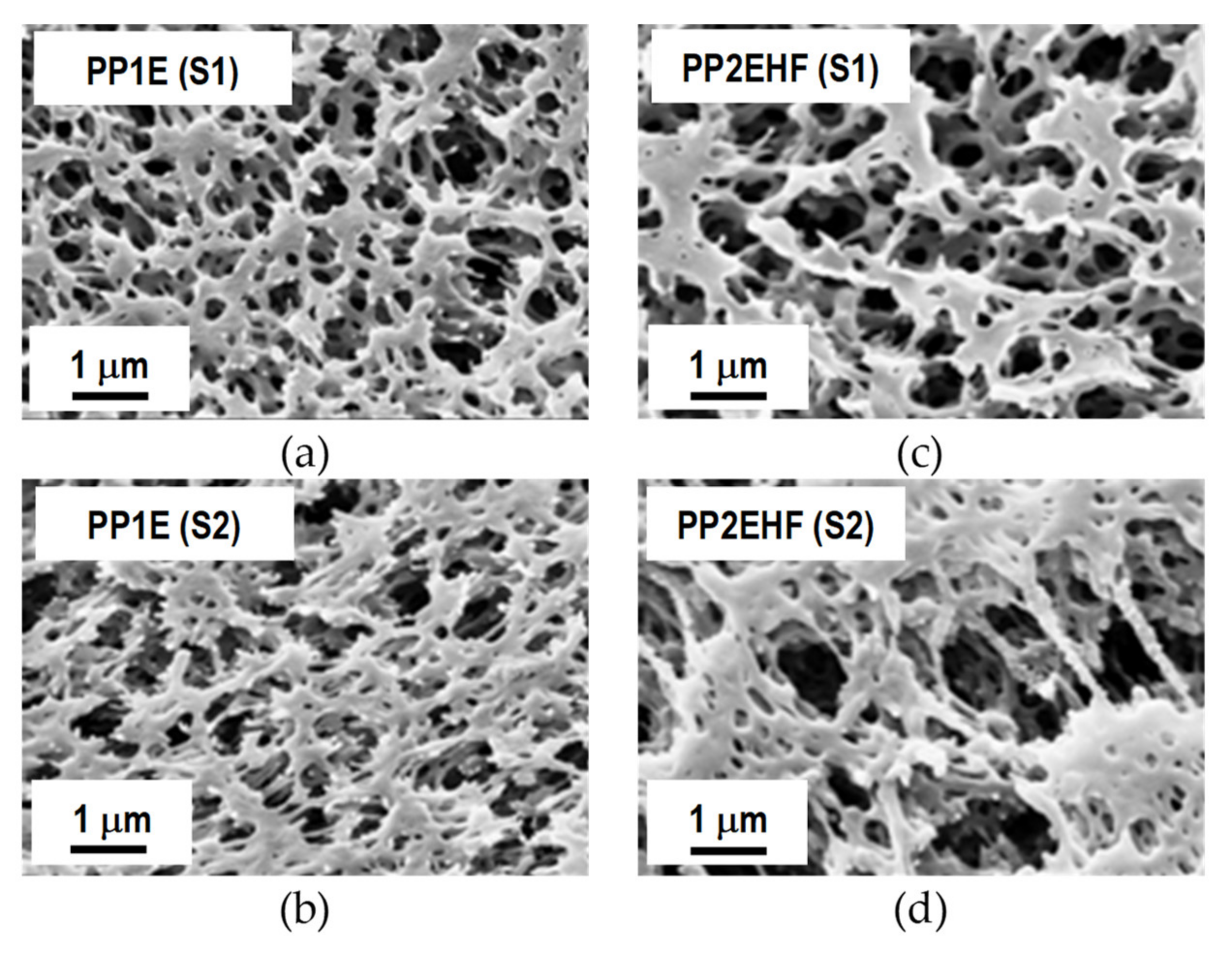Membranes 11 00610 g005