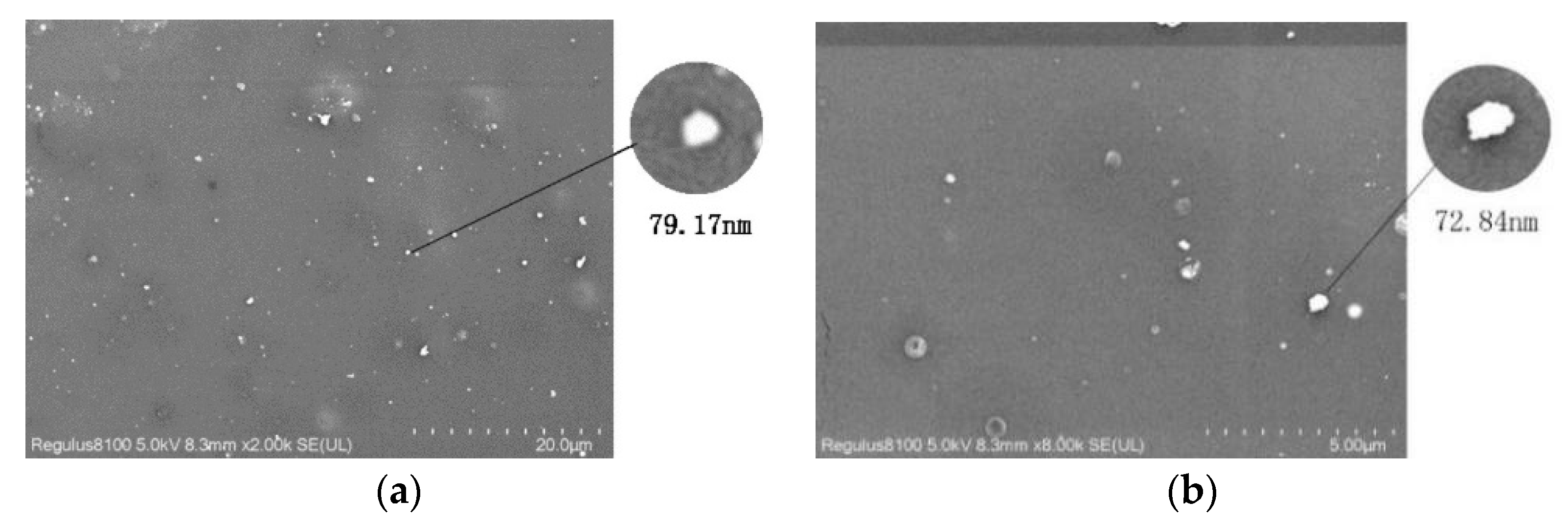 Membranes 11 00640 g012