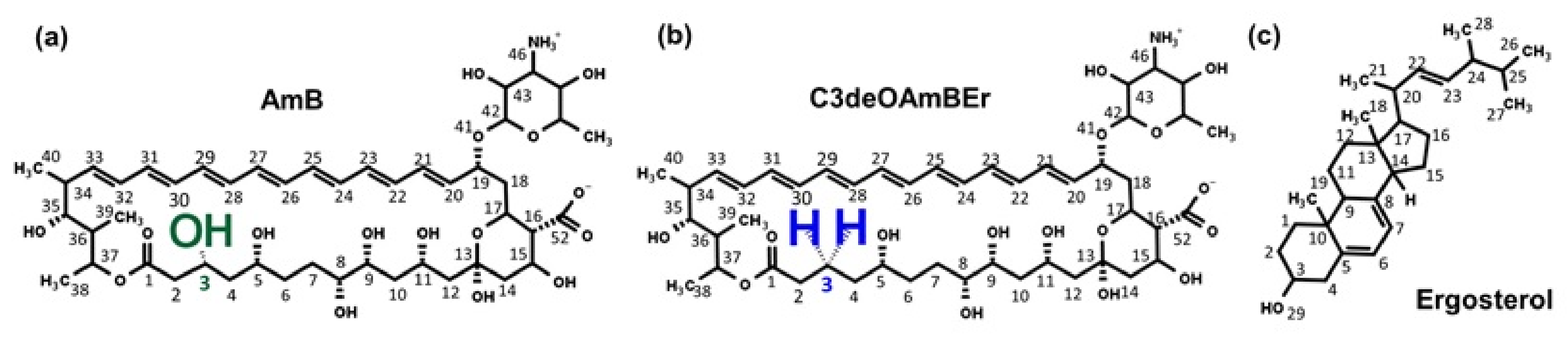 Membranes 11 00646 g001