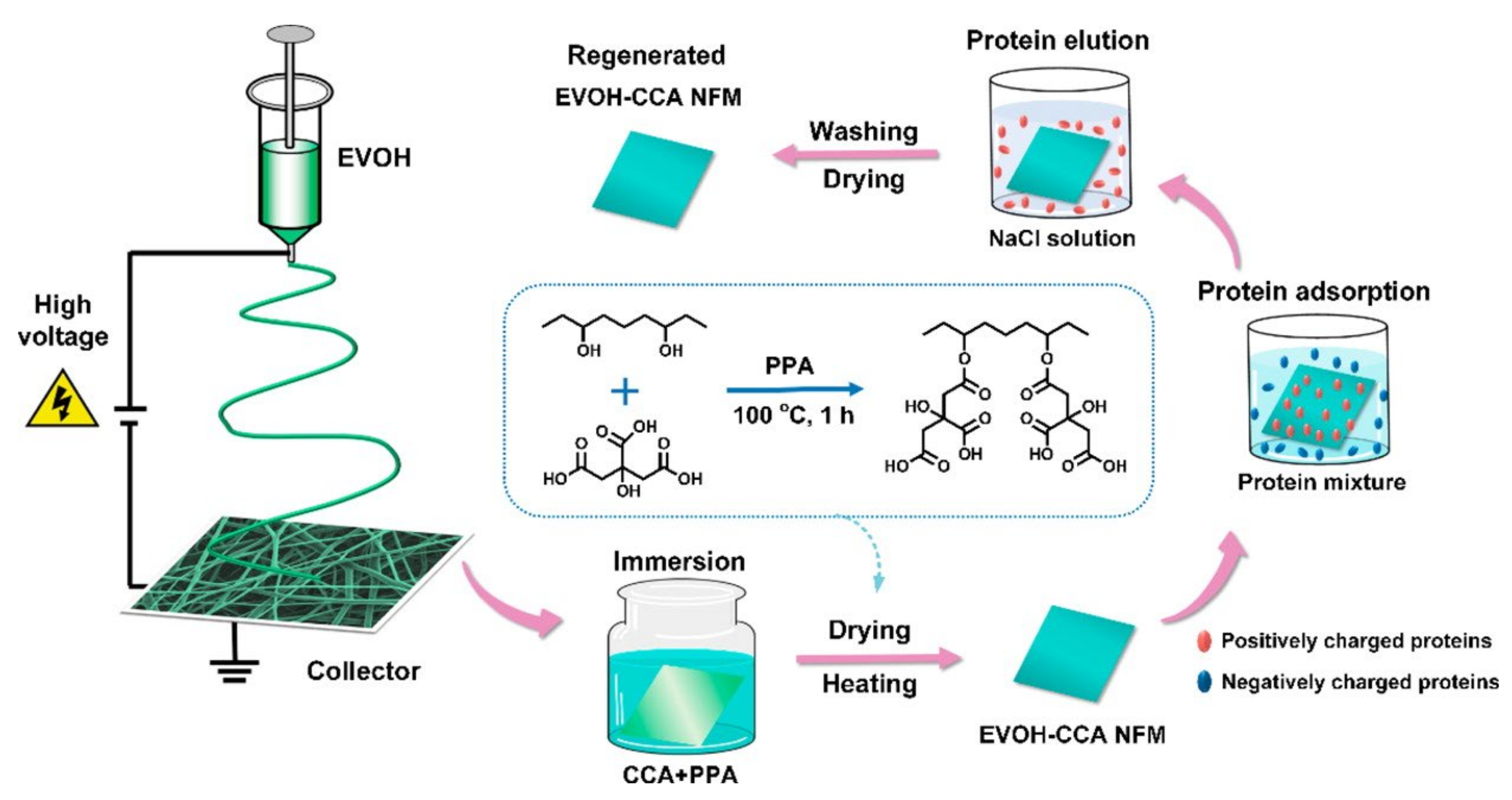 Membranes 11 00652 g007