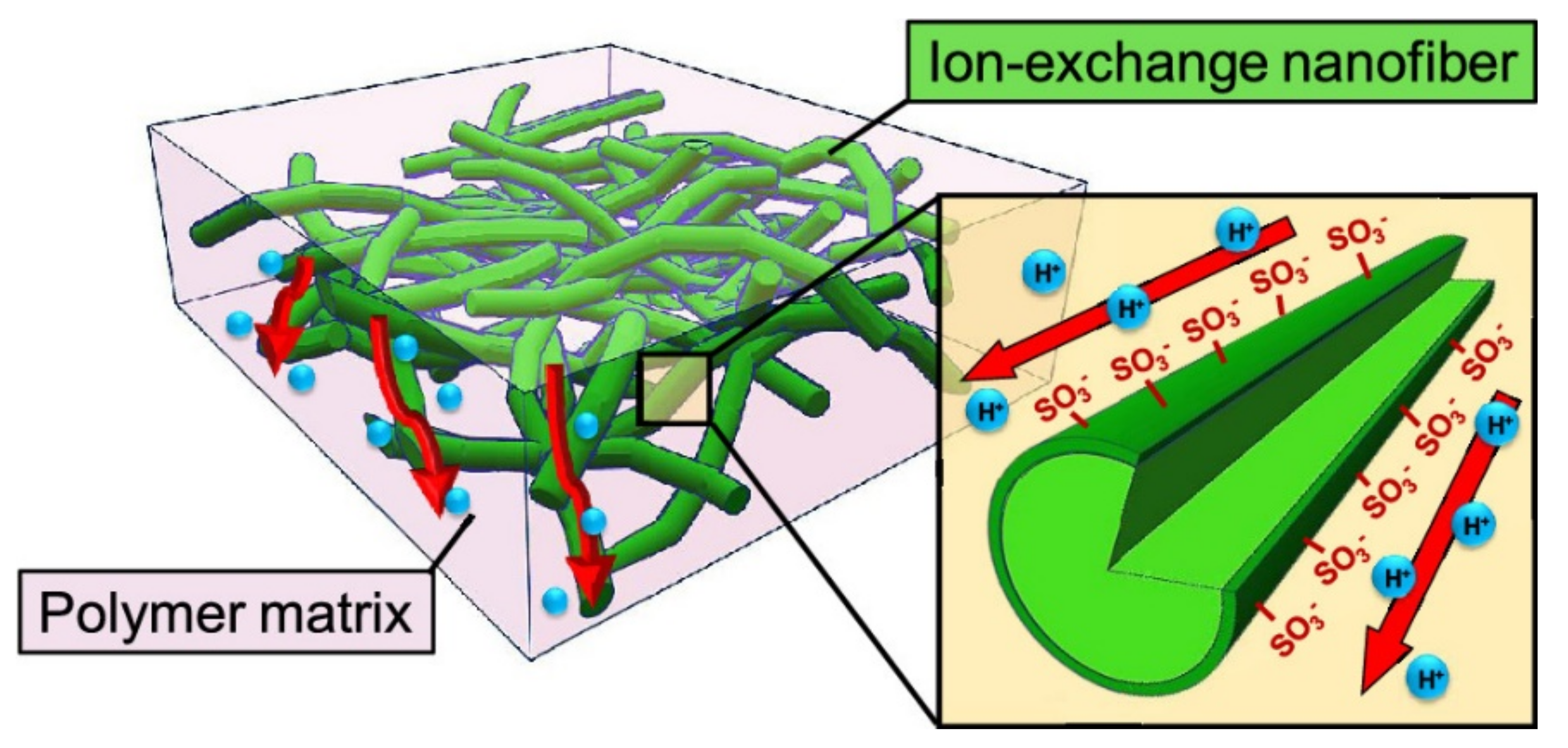 Membranes 11 00652 g008