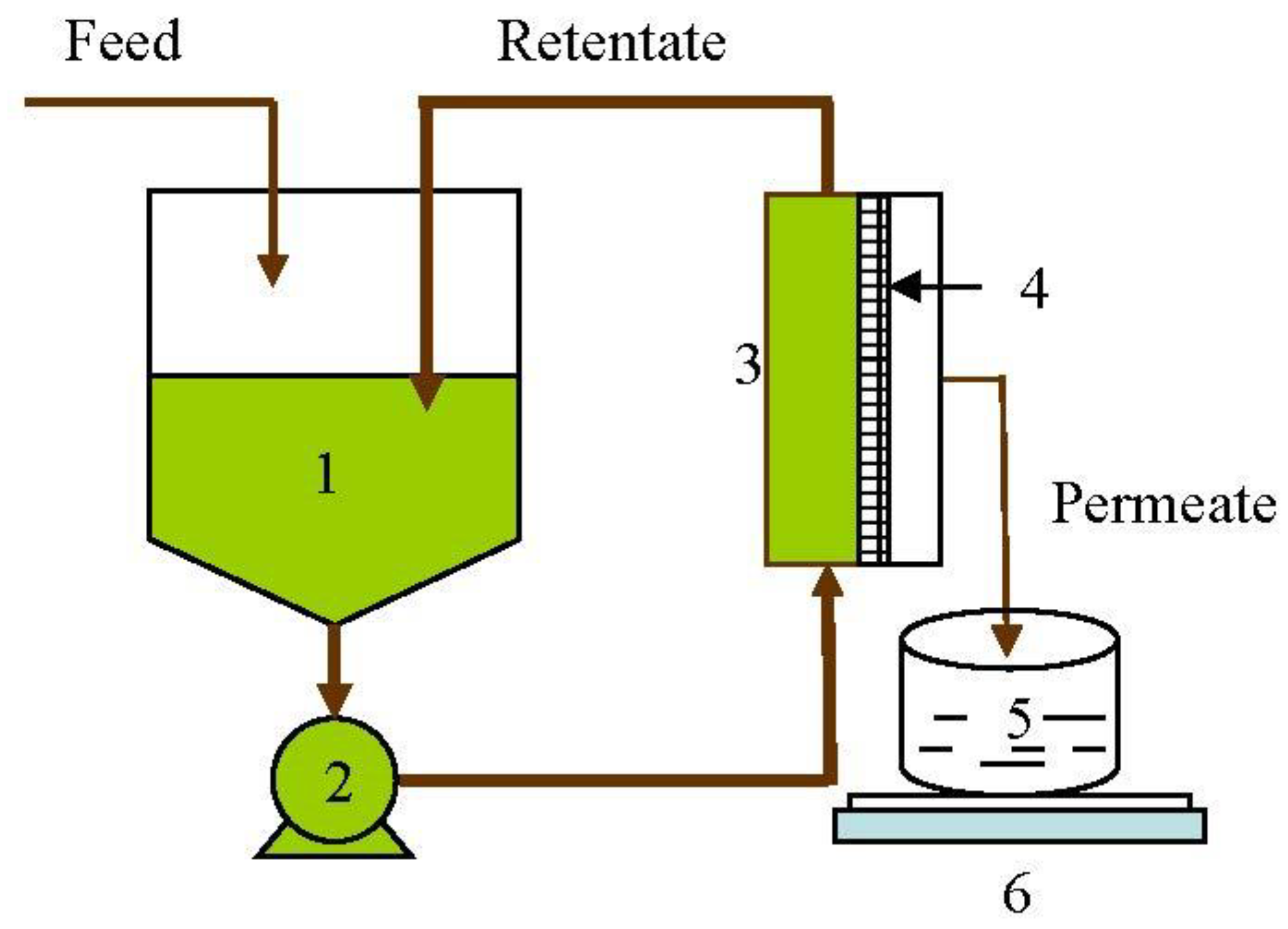 Membranes 11 00656 g001
